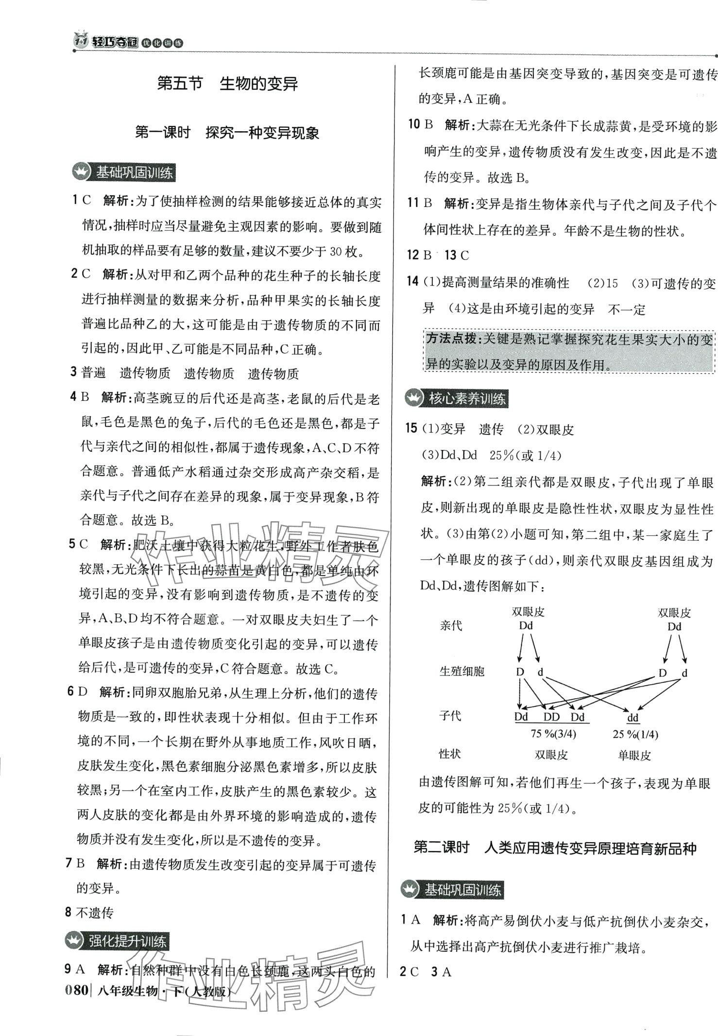 2024年1加1轻巧夺冠优化训练八年级生物下册人教版 第9页