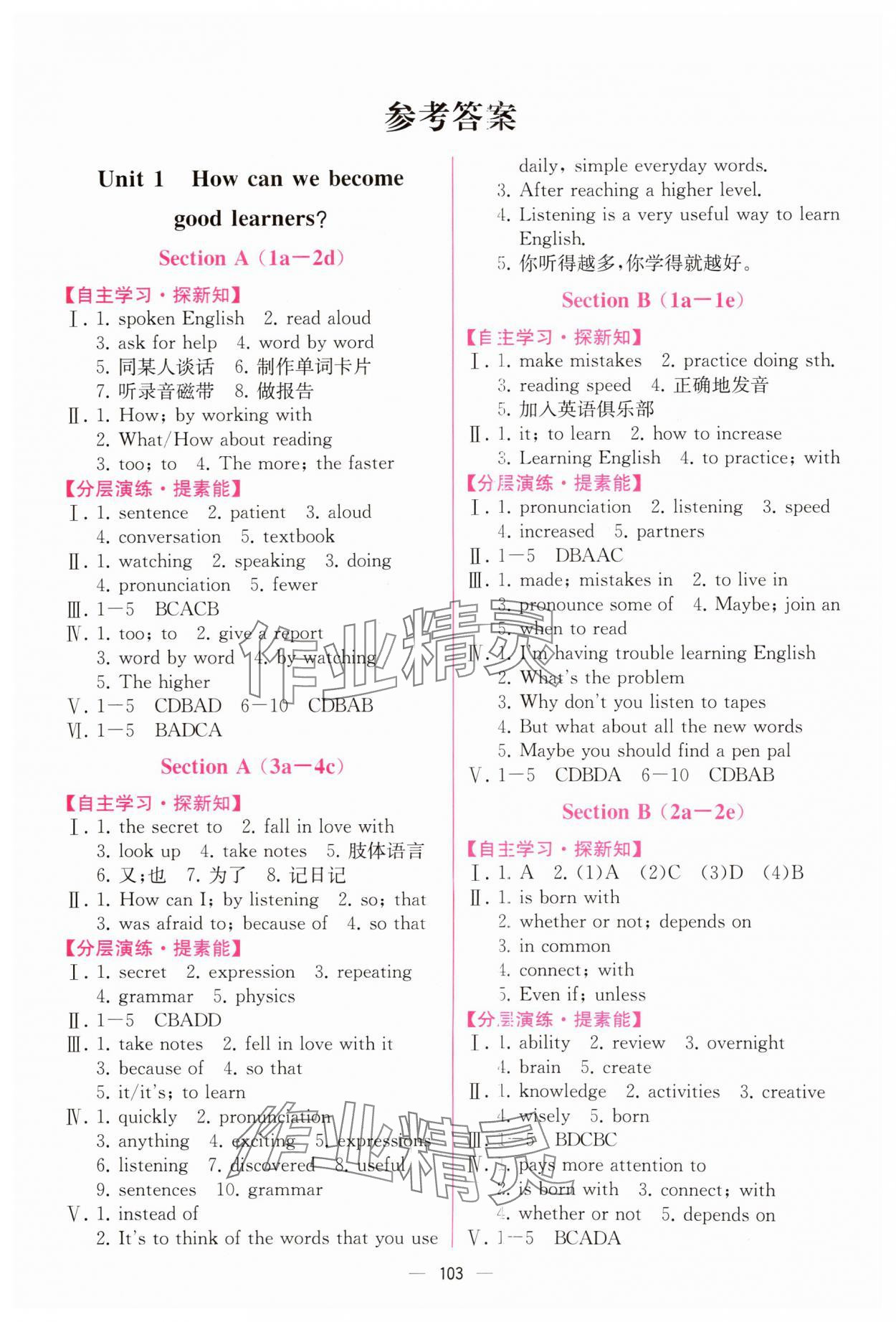 2024年同步導(dǎo)學(xué)案課時(shí)練九年級(jí)英語全一冊(cè)人教版河南專版 第1頁