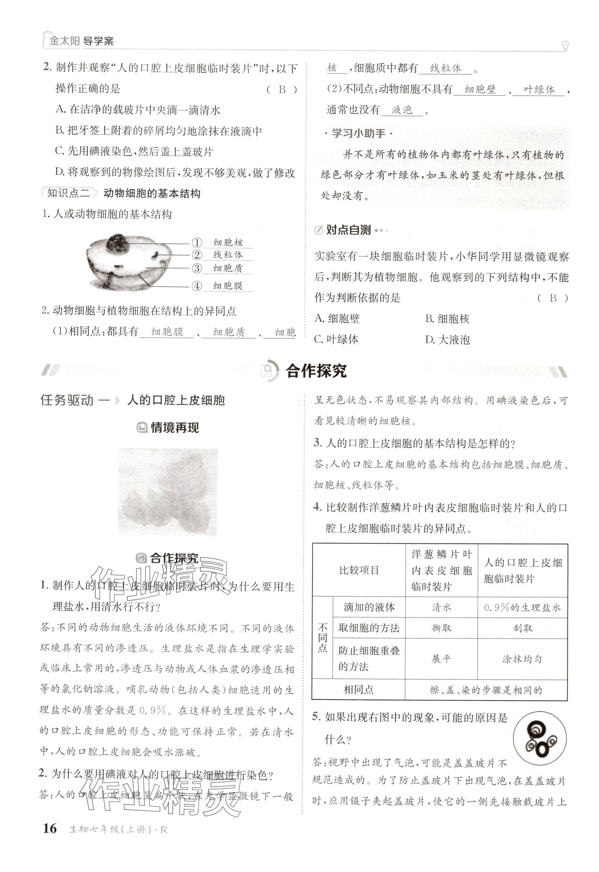 2024年金太阳导学案七年级生物上册人教版 参考答案第16页