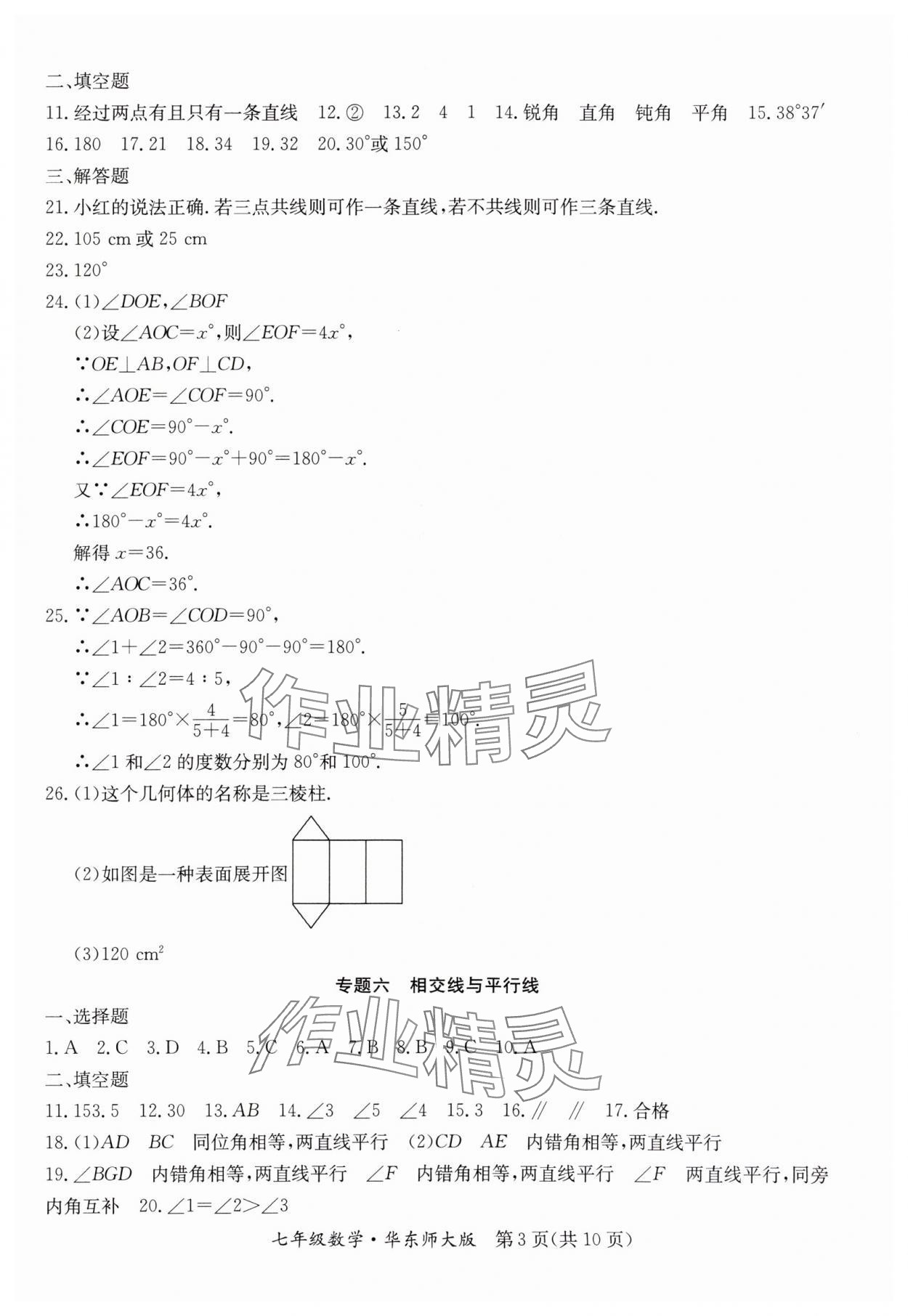 2024年寒假作業(yè)延邊教育出版社七年級合訂本華師大B版河南專版 參考答案第3頁