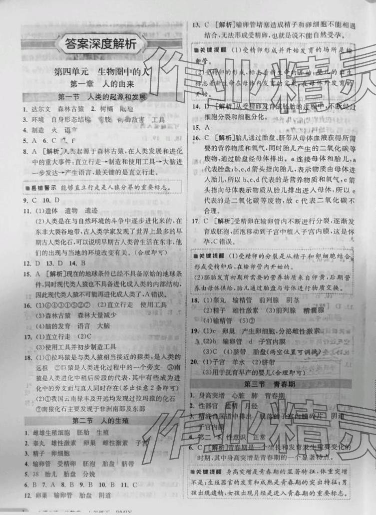 2024年1课3练江苏人民出版社七年级生物下册人教版 第1页