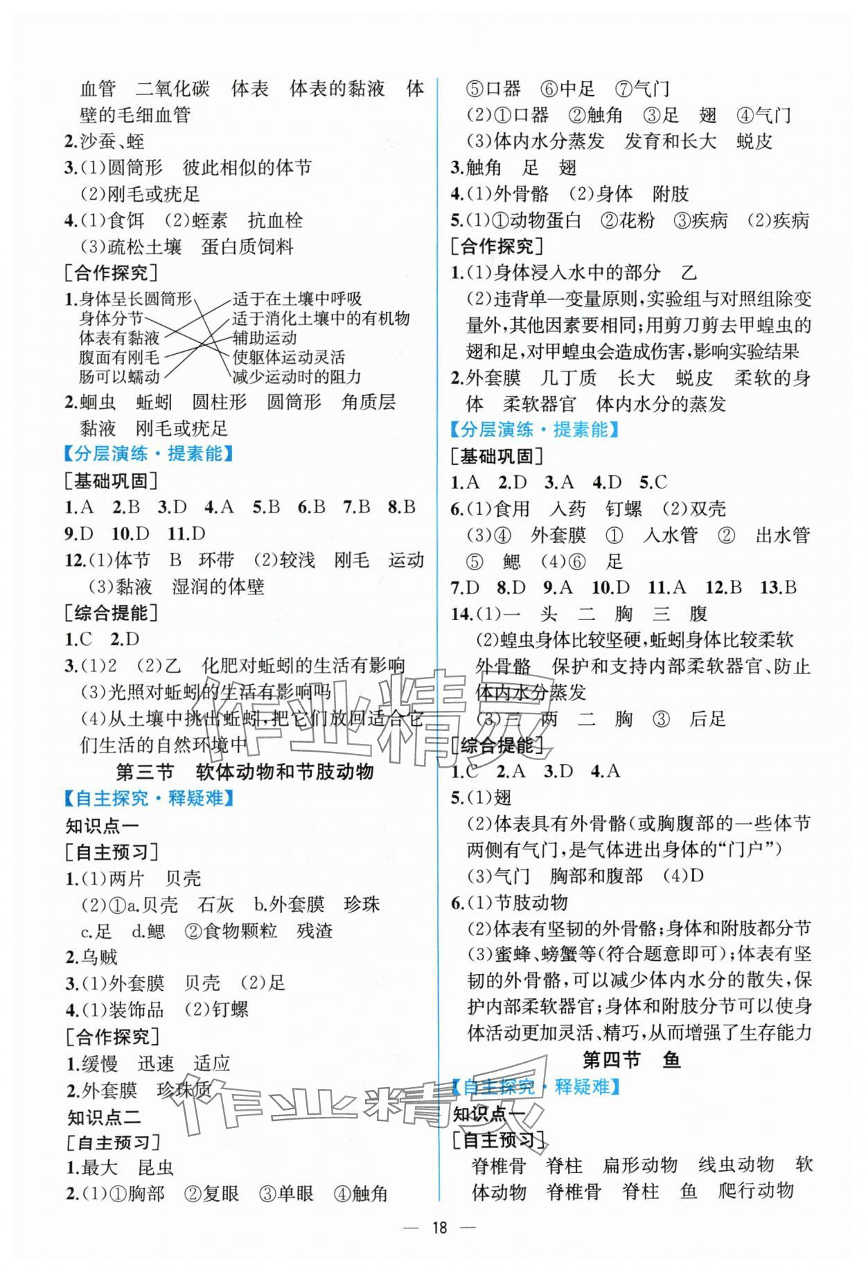 2024年同步導(dǎo)學(xué)案課時(shí)練八年級(jí)生物上冊(cè)人教版 第2頁(yè)