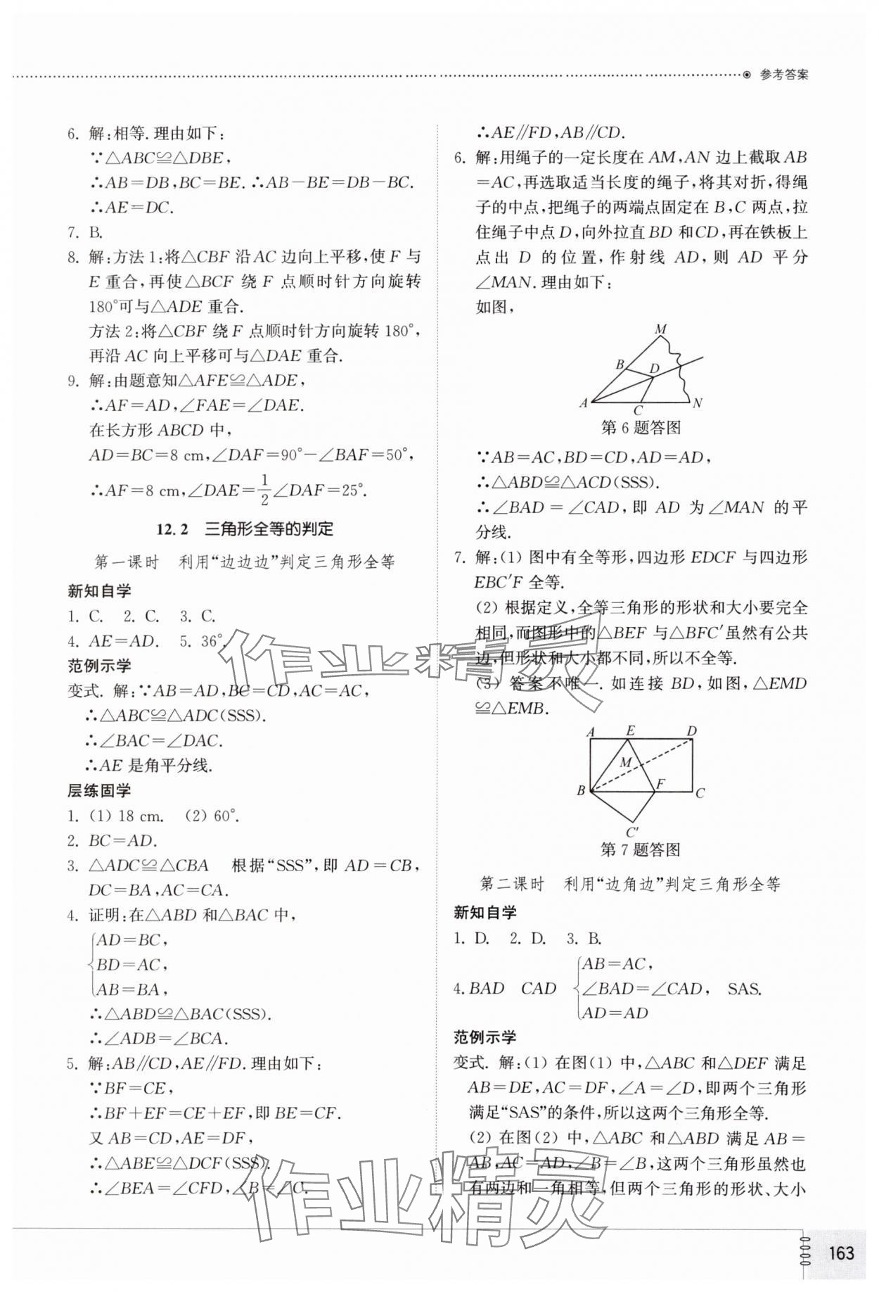 2024年同步练习册山东教育出版社八年级数学上册人教版 第5页