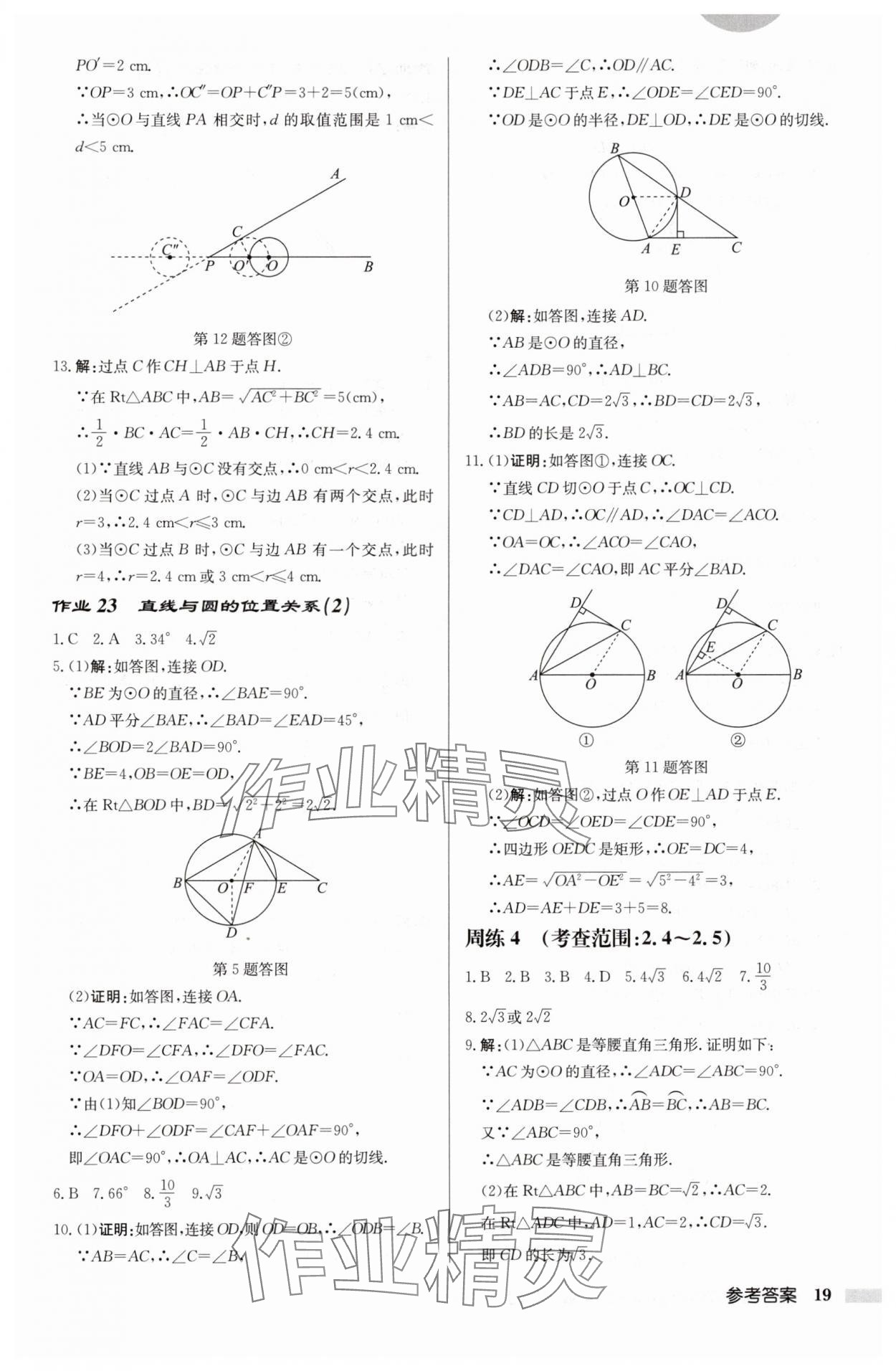 2024年啟東中學(xué)作業(yè)本九年級(jí)數(shù)學(xué)上冊(cè)蘇科版徐州專版 參考答案第19頁