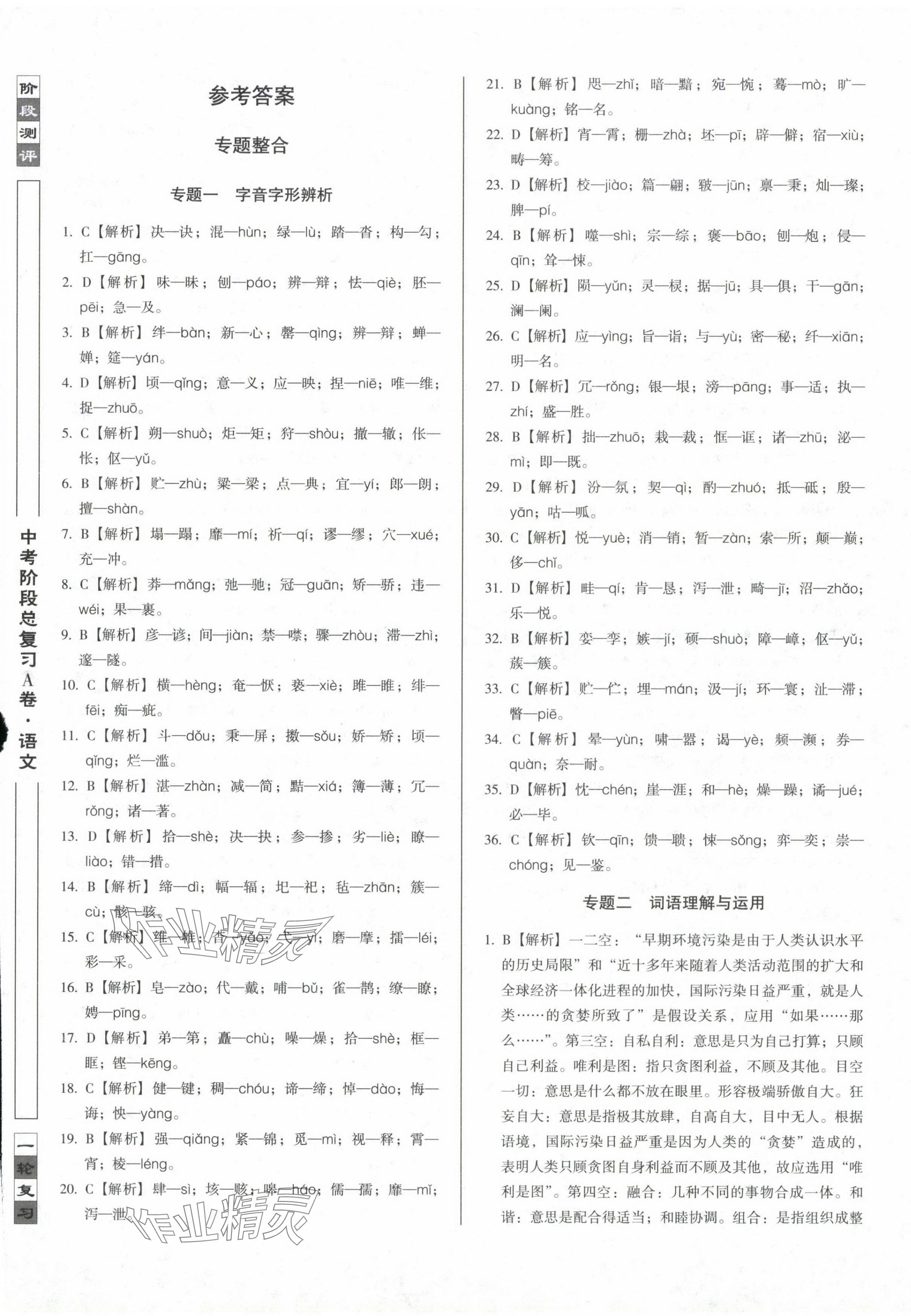 2024年中考階段總復(fù)習(xí)語文A卷 第1頁