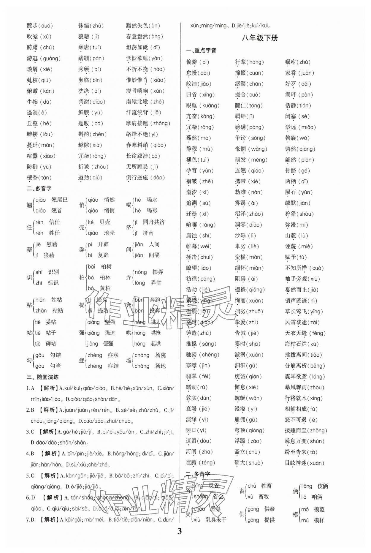 2024年一本到位语文中考广州专版 第3页