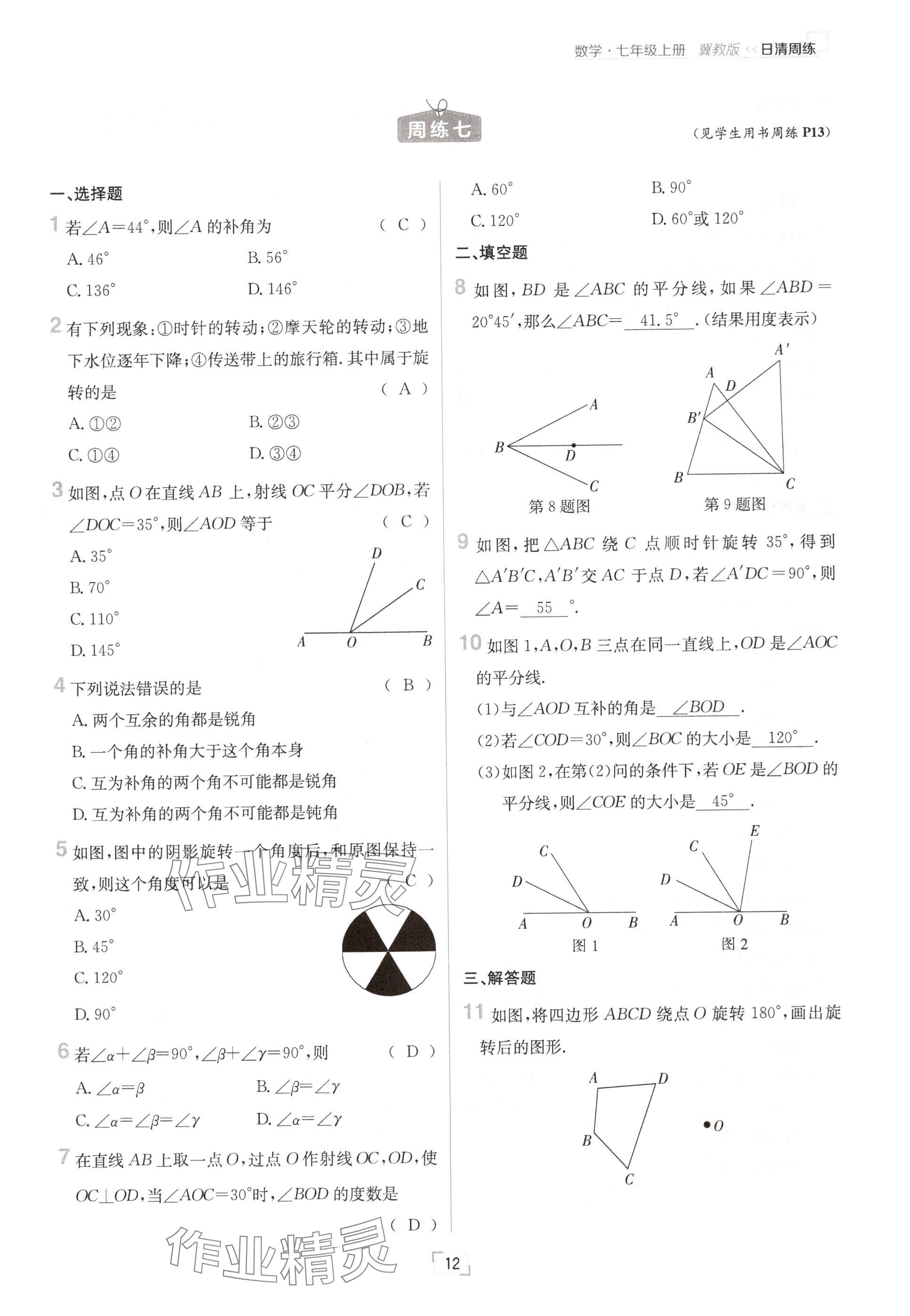 2024年日清周練七年級數(shù)學上冊冀教版 參考答案第12頁