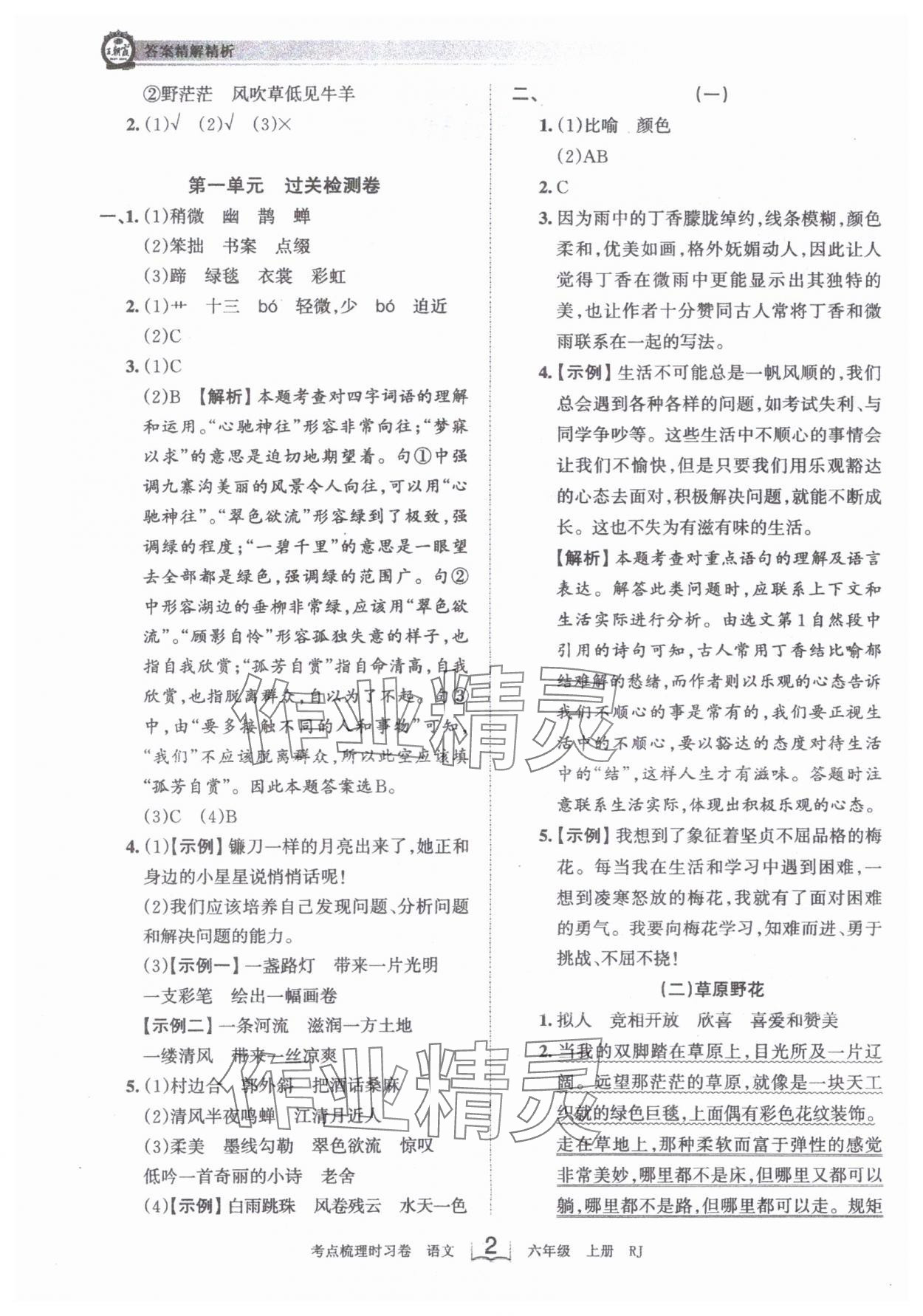 2024年王朝霞考点梳理时习卷六年级语文上册人教版 第2页