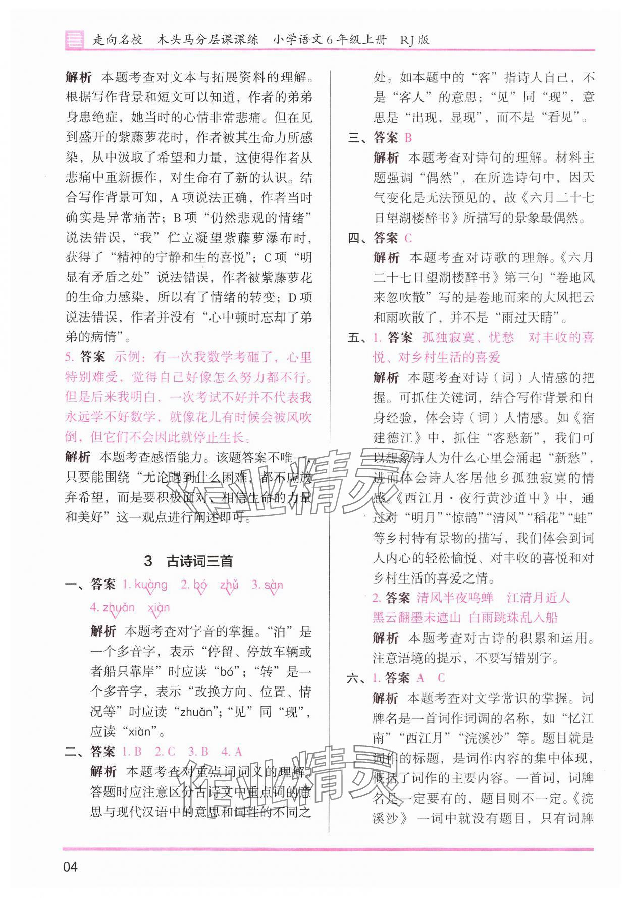 2024年木頭馬分層課課練六年級(jí)語文上冊(cè)人教版浙江專版 第4頁