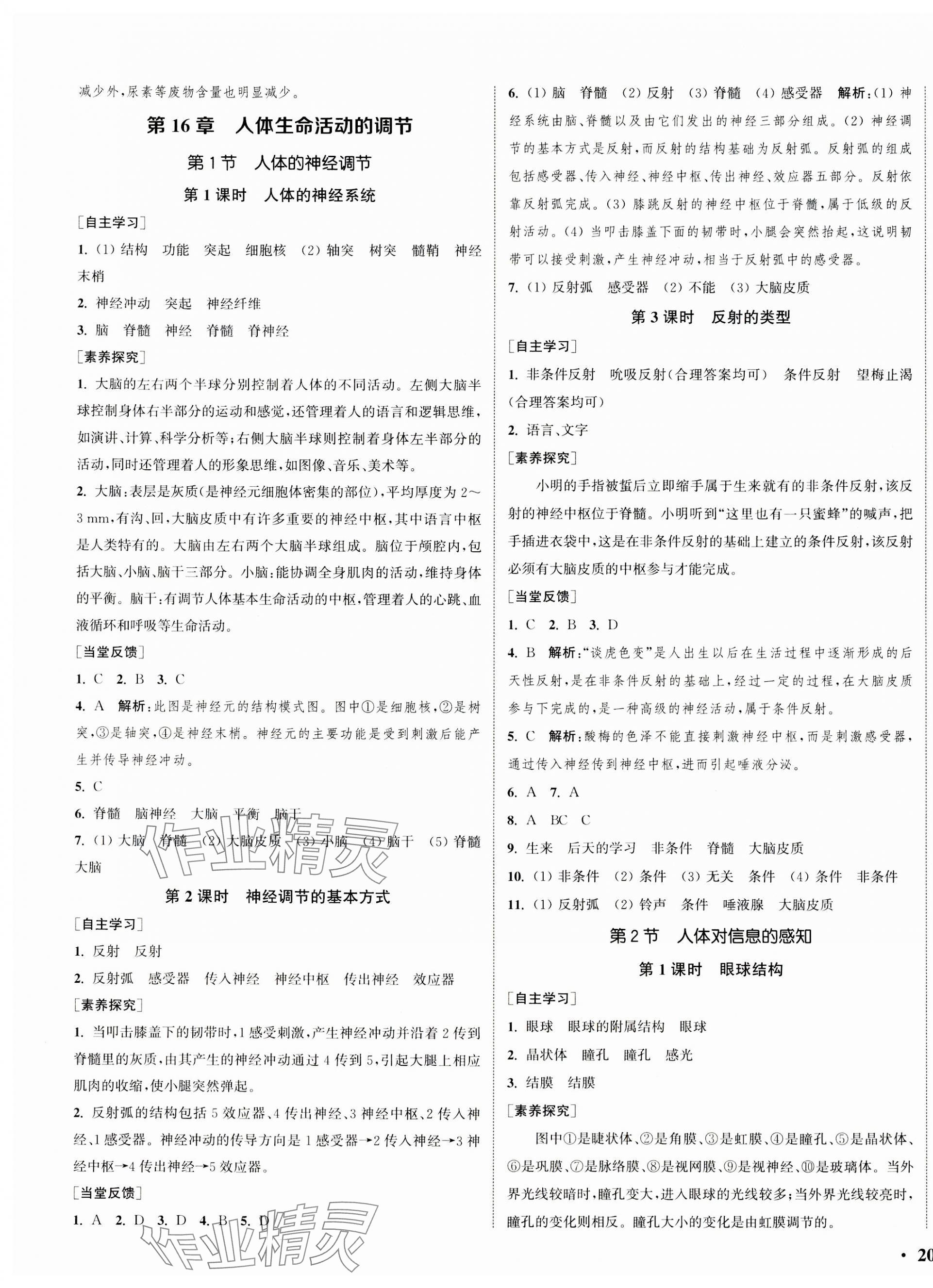 2023年通城學(xué)典活頁檢測八年級(jí)生物上冊(cè)蘇科版 第3頁