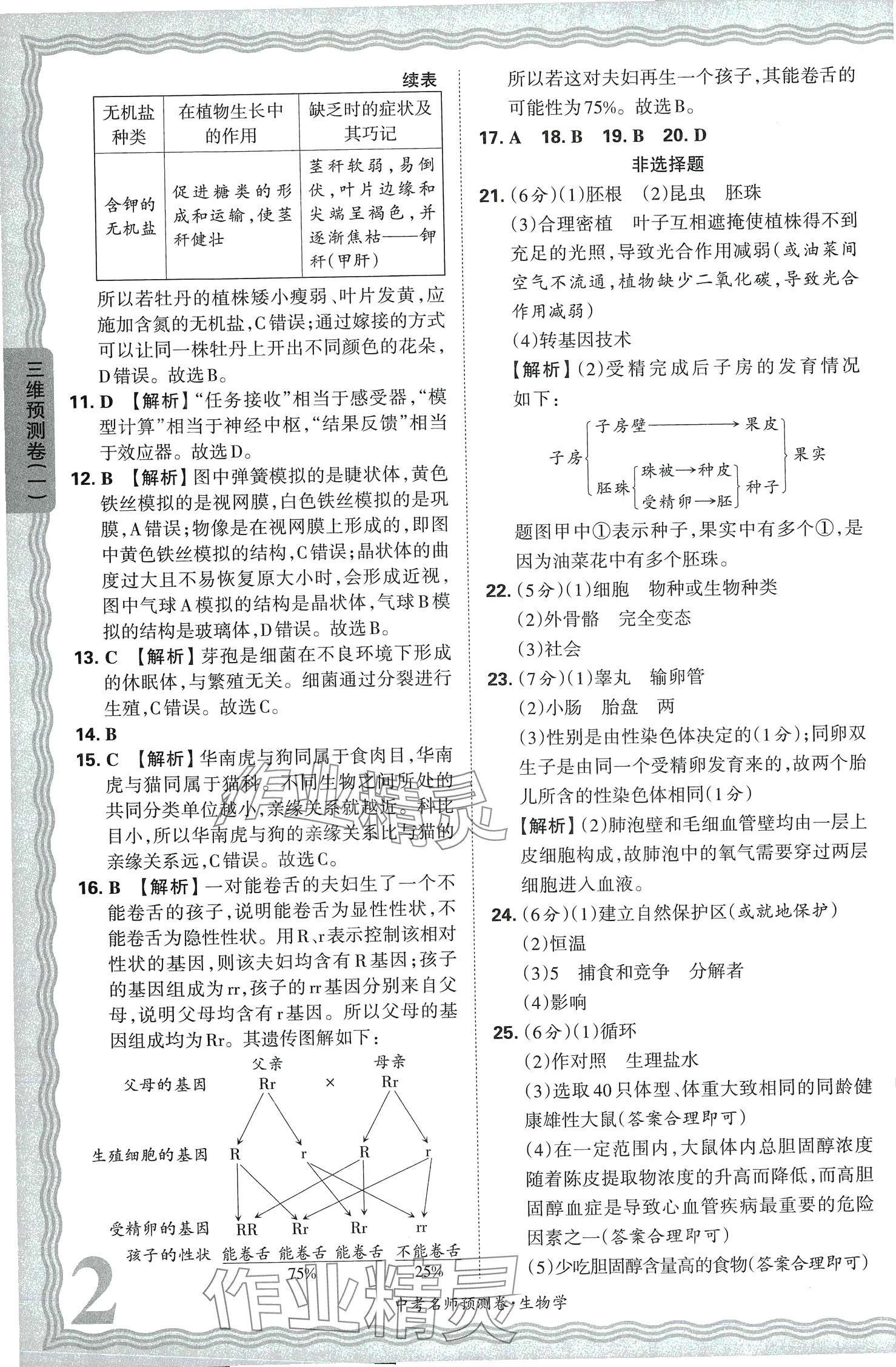 2024年王朝霞中考名师预测卷生物河南专版 第2页
