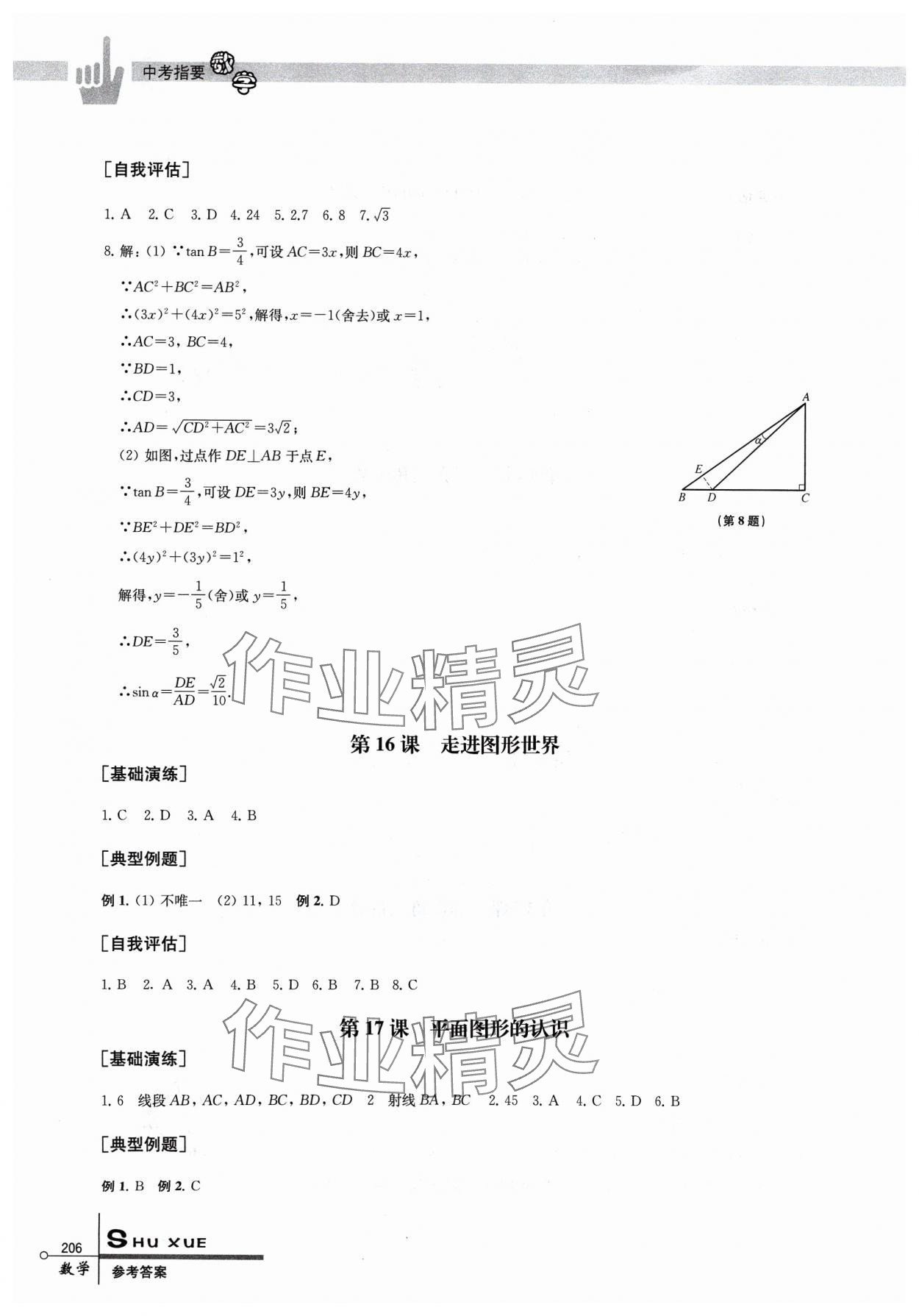 2024年中考指要數(shù)學(xué) 第10頁