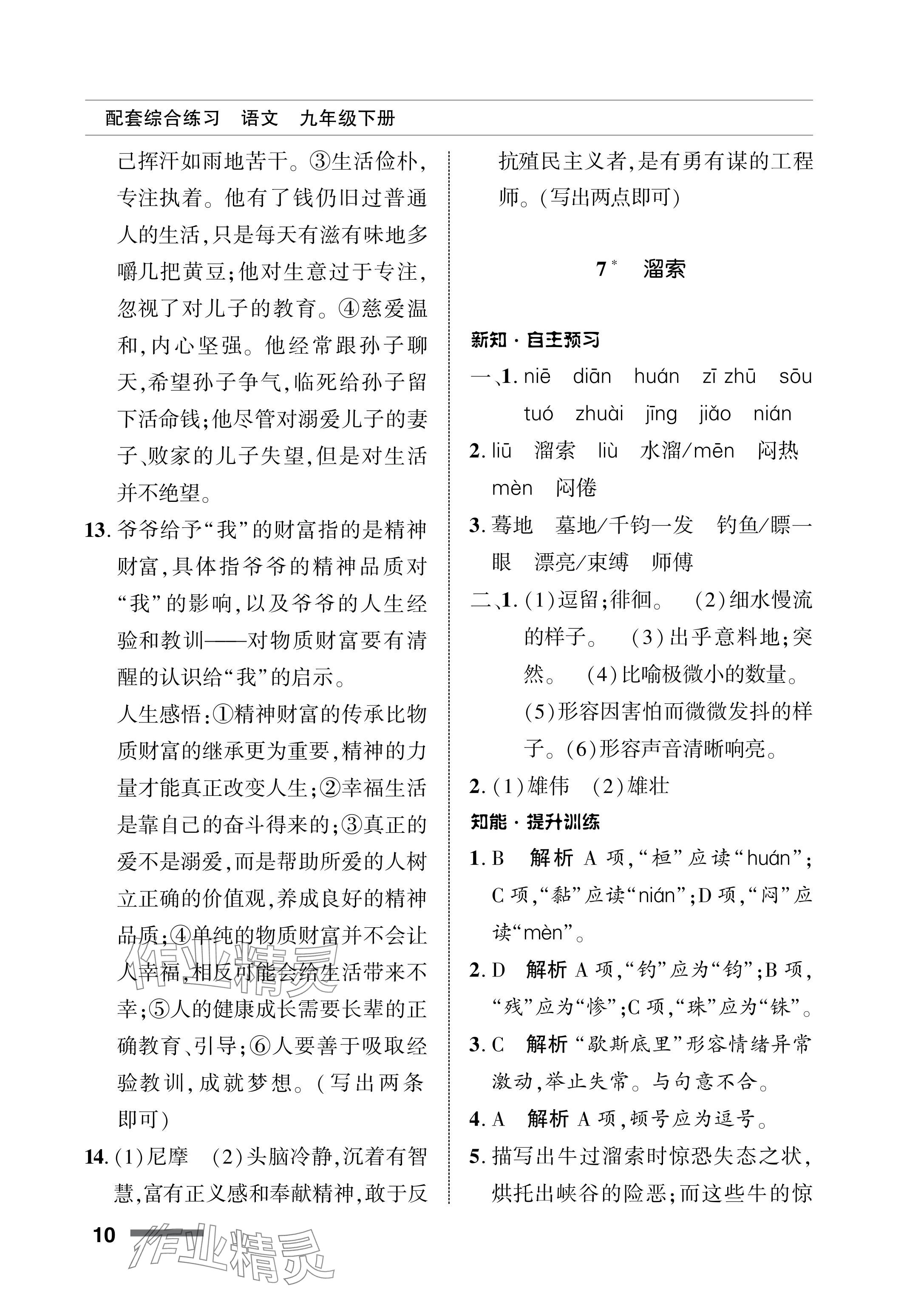 2024年配套綜合練習(xí)甘肅九年級語文下冊人教版 參考答案第10頁