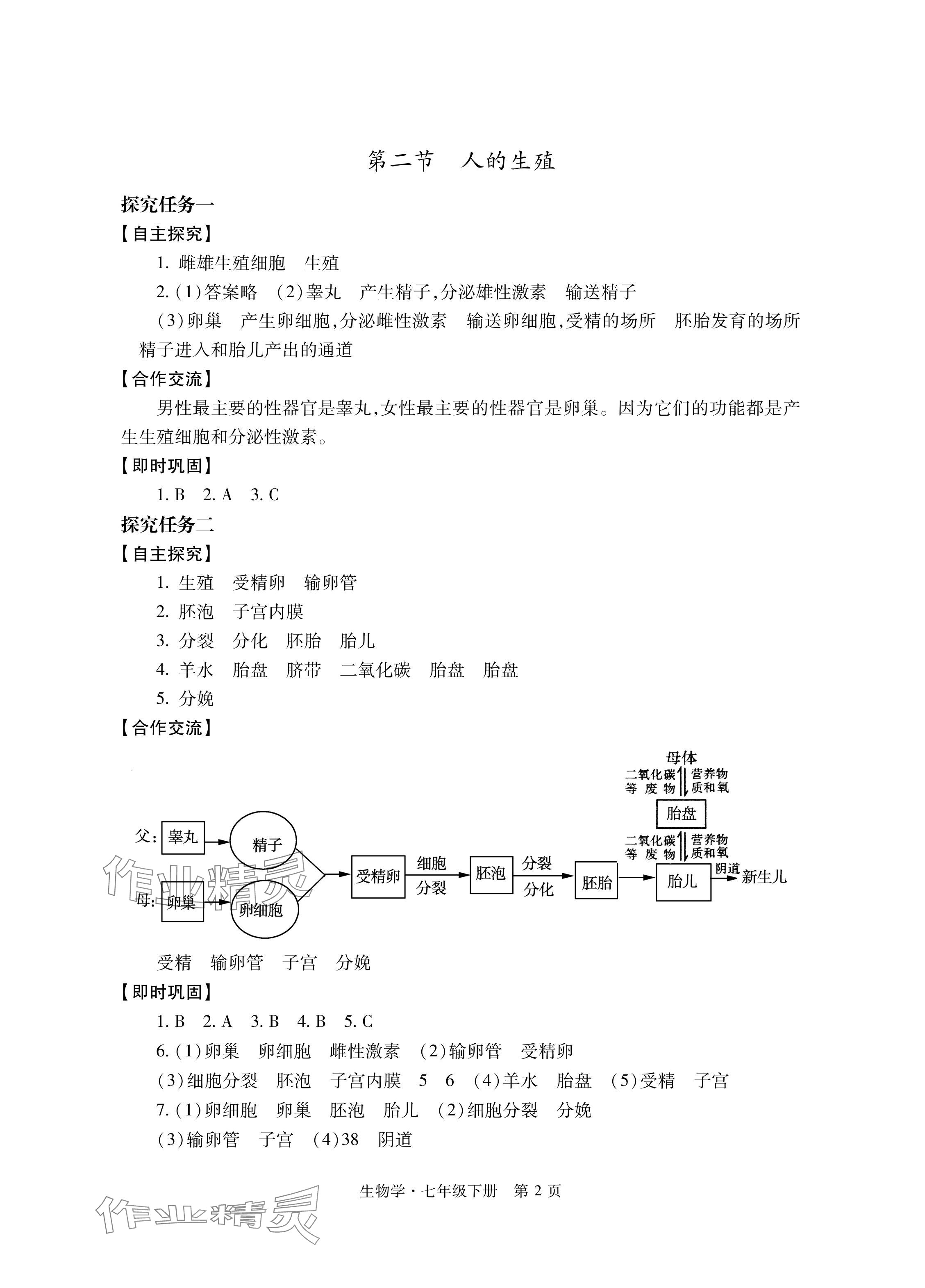 2024年自主学习指导课程与测试七年级生物下册人教版 参考答案第2页