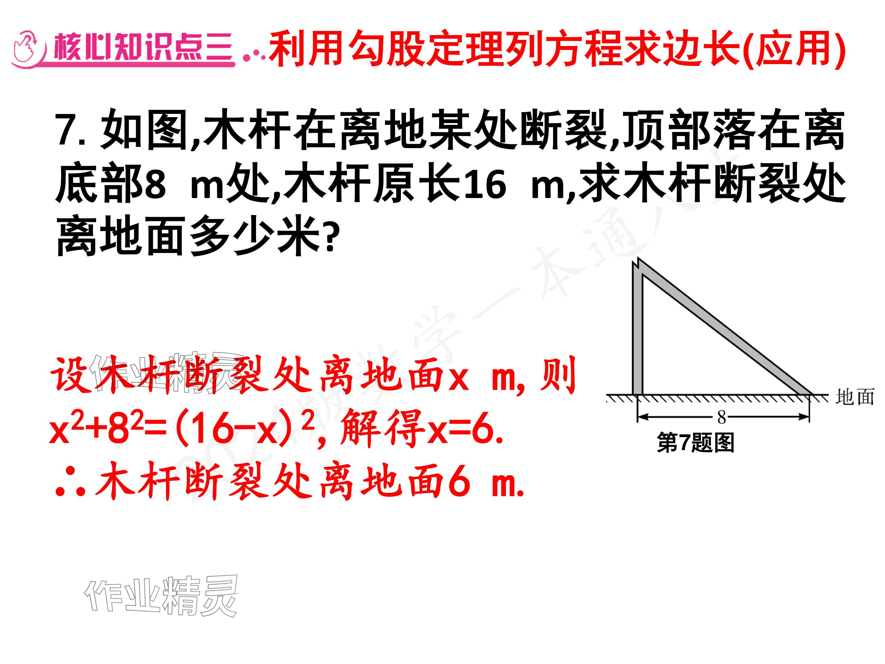 2024年一本通武汉出版社八年级数学上册北师大版核心板 参考答案第6页