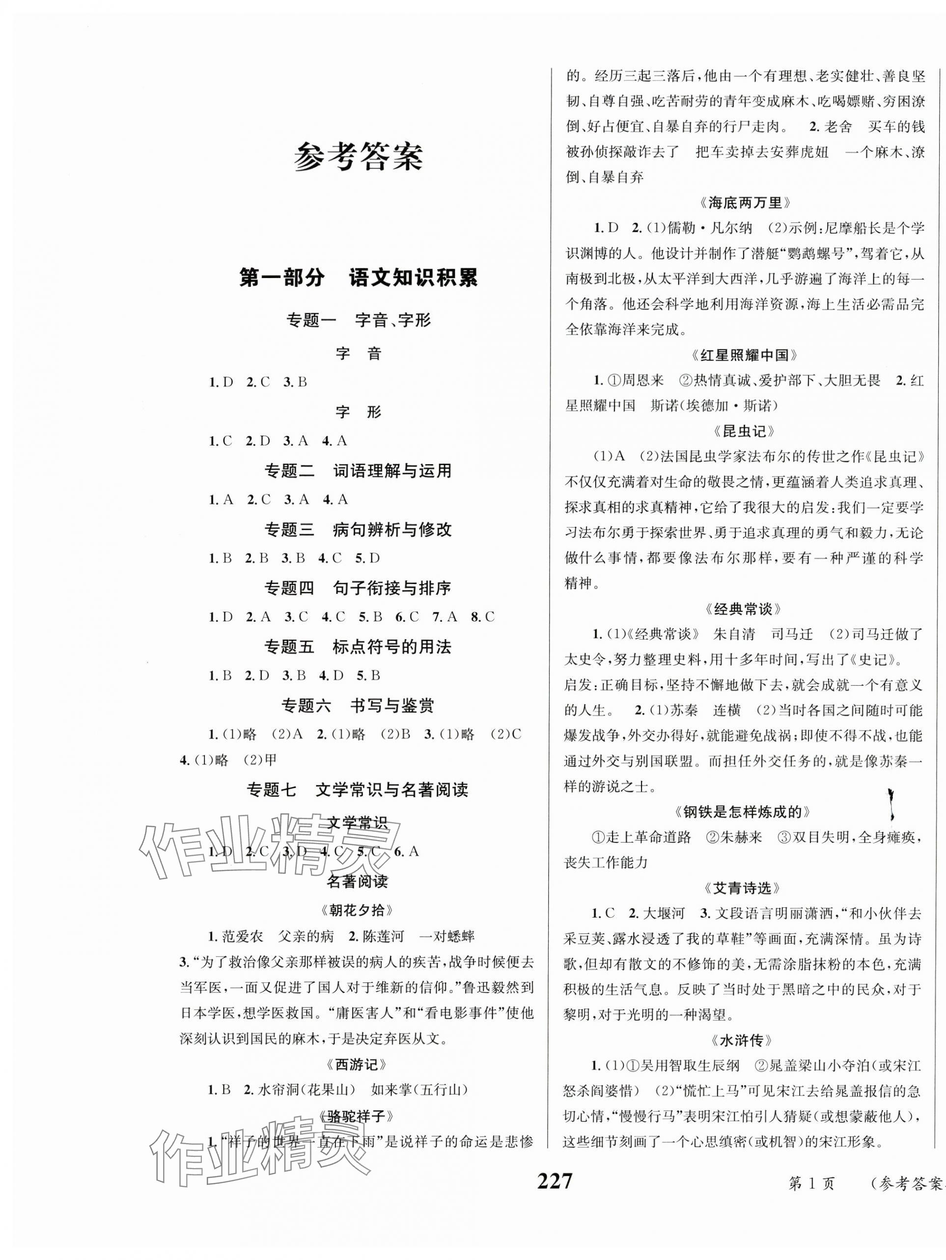 2024年云南省初中學(xué)業(yè)水平考試總復(fù)習(xí)及測(cè)試語文中考 第1頁