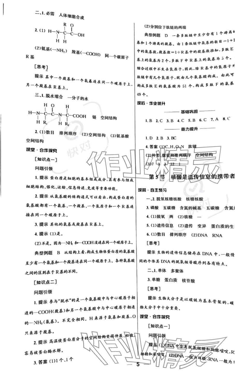 2023年同步練習(xí)冊(cè)人民教育出版社高中生物必修1人教版 參考答案第5頁(yè)