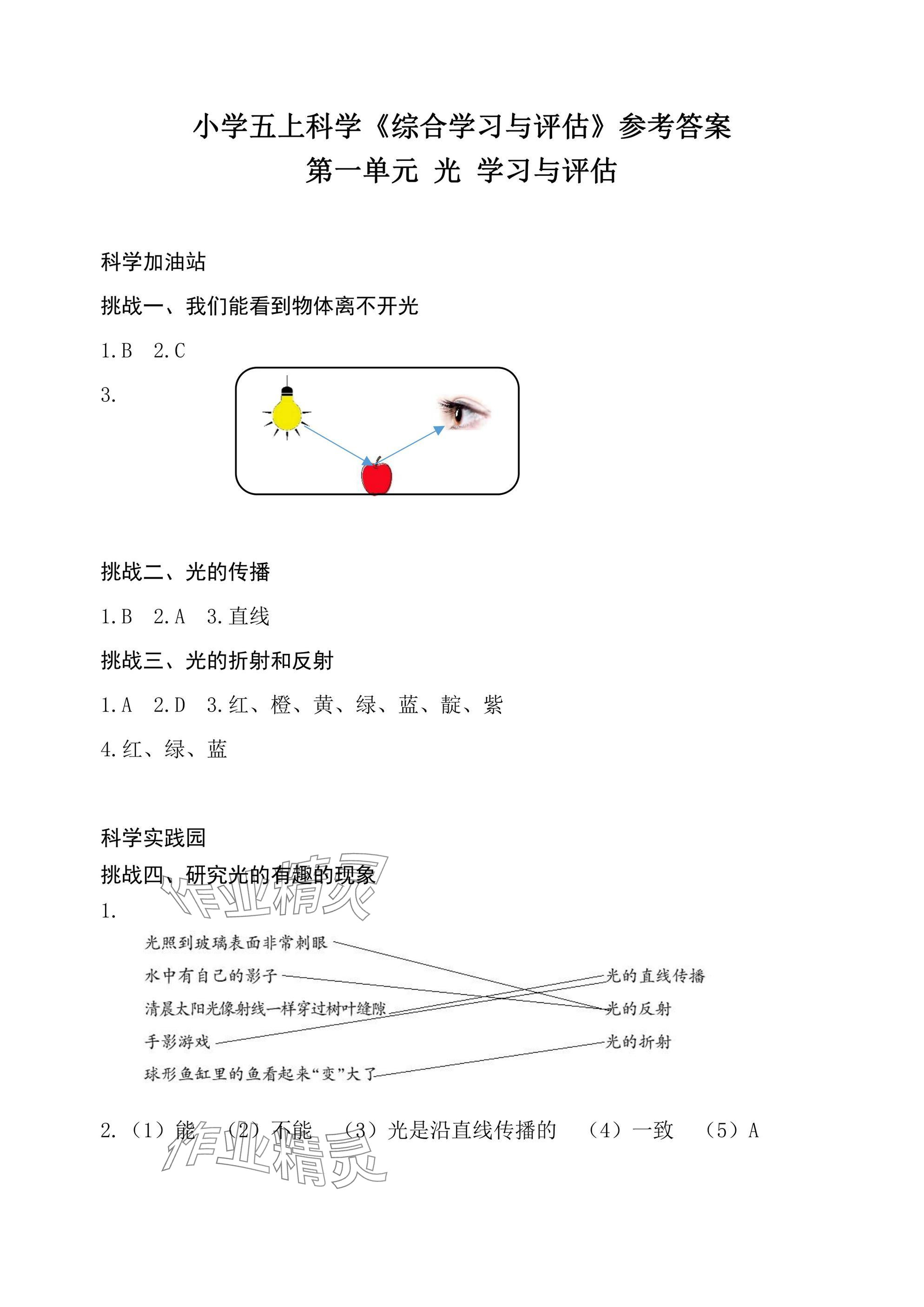 2024年綜合學習與評估五年級科學上冊教科版 參考答案第1頁