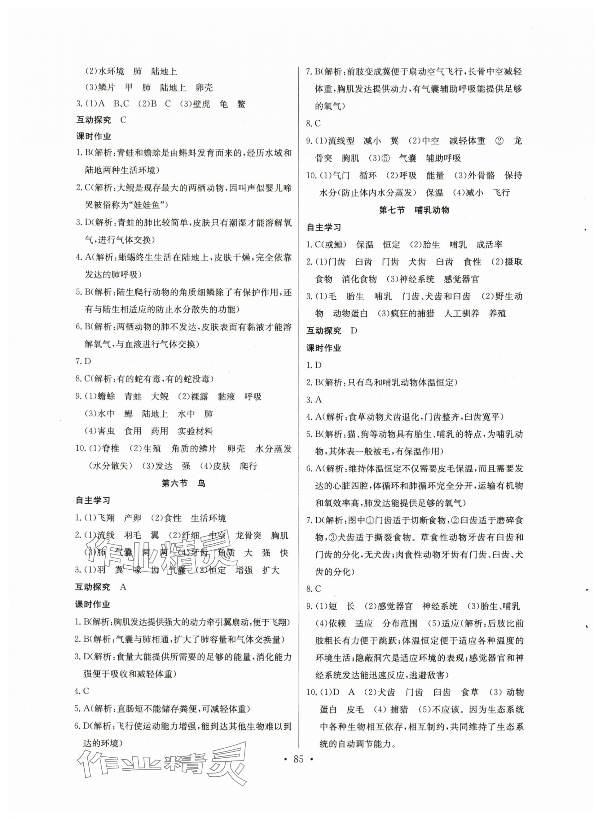 2024年長江全能學(xué)案同步練習(xí)冊八年級生物上冊人教版 第3頁