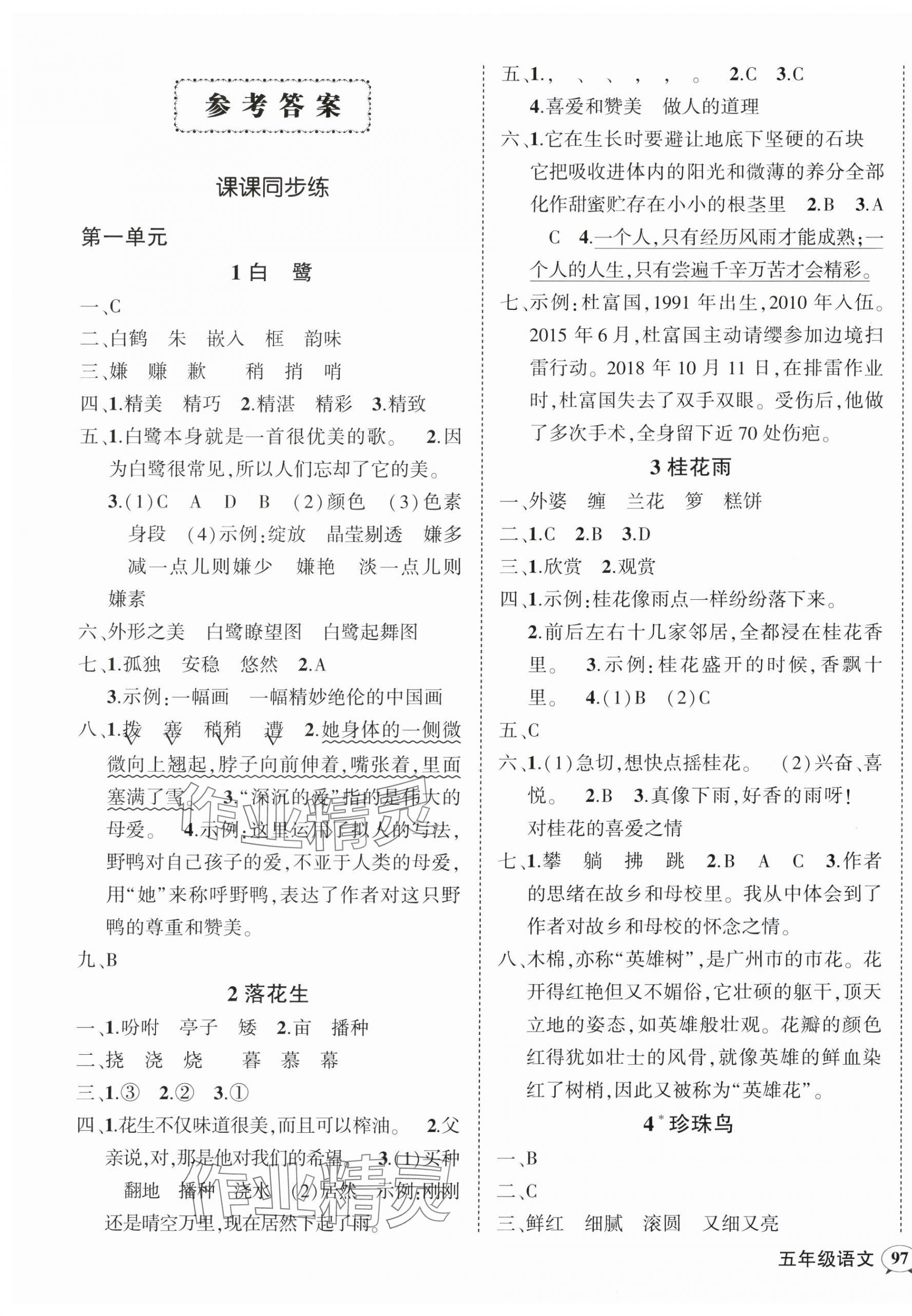 2024年狀元成才路創(chuàng)優(yōu)作業(yè)100分五年級語文上冊人教版廣東專版 參考答案第1頁