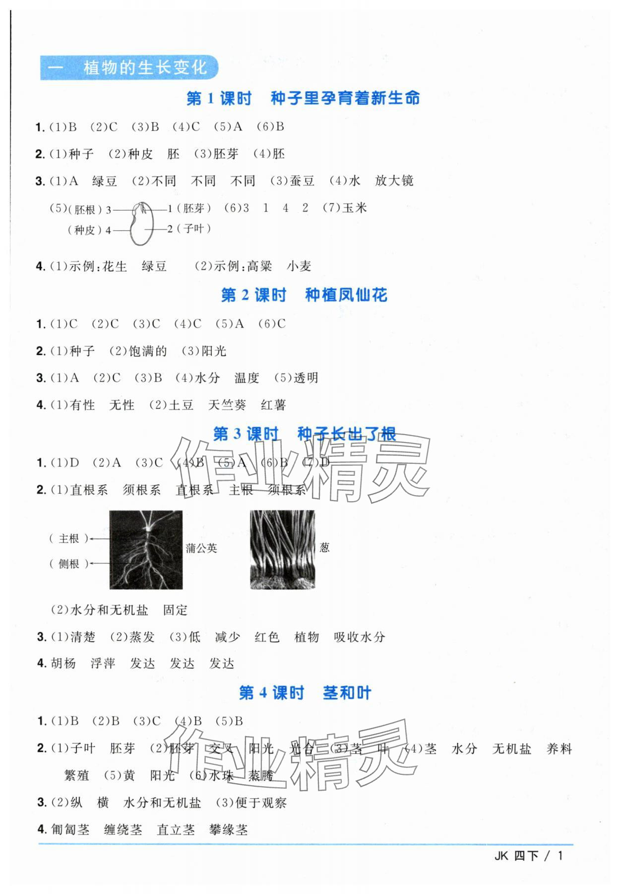 2024年陽光同學(xué)課時(shí)優(yōu)化作業(yè)四年級科學(xué)下冊教科版 第1頁