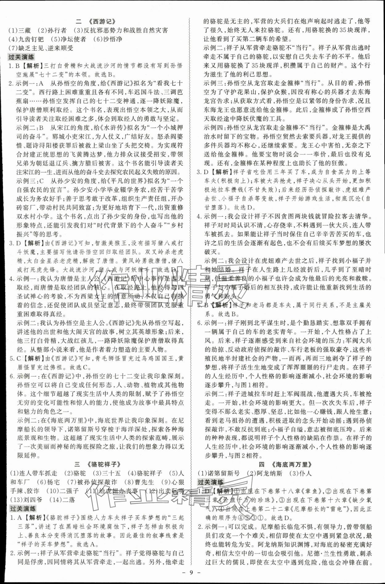 2024年中考冲刺语文广东专版 第9页