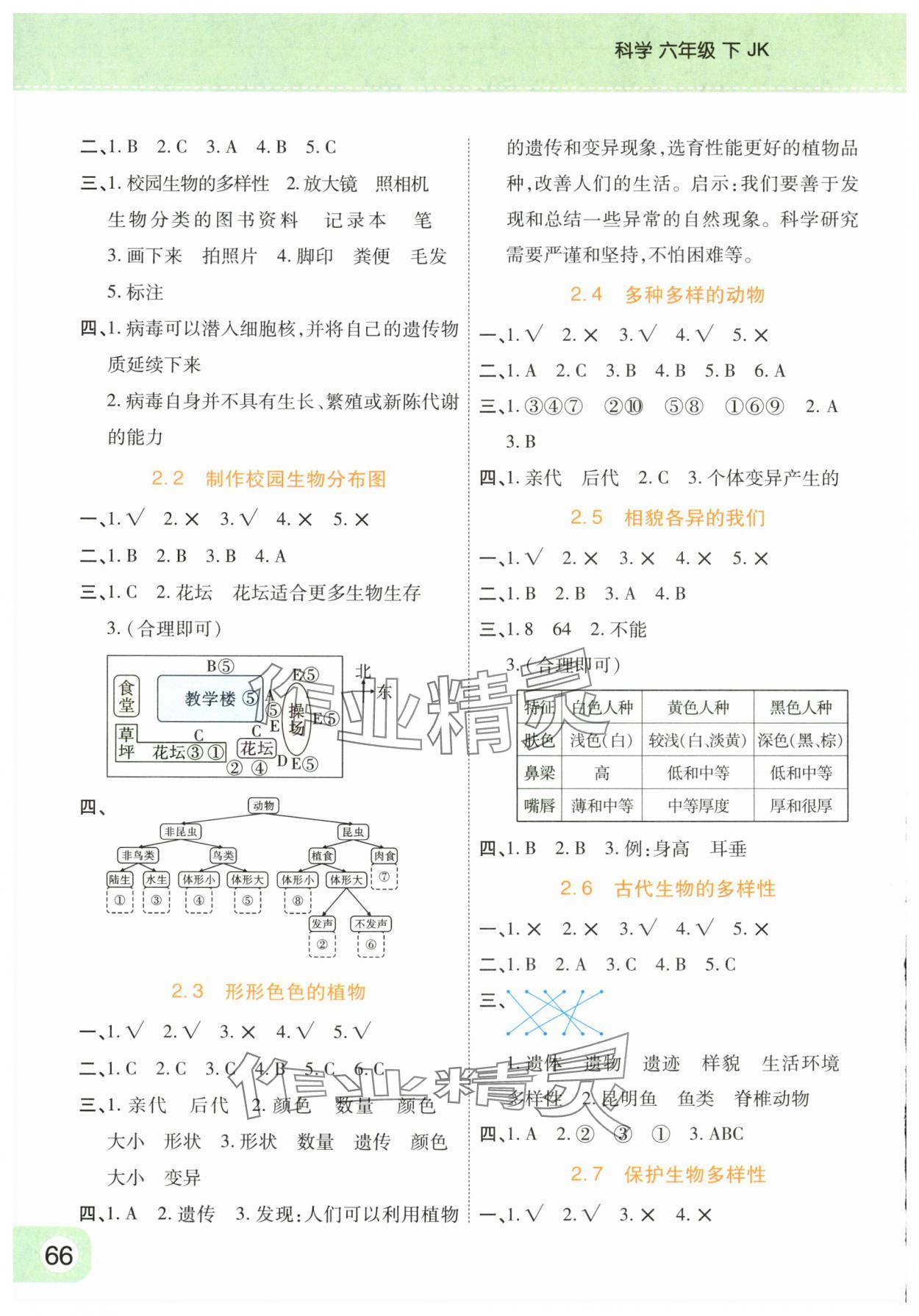 2024年黃岡同步練一日一練六年級(jí)科學(xué)下冊(cè)教科版 參考答案第2頁