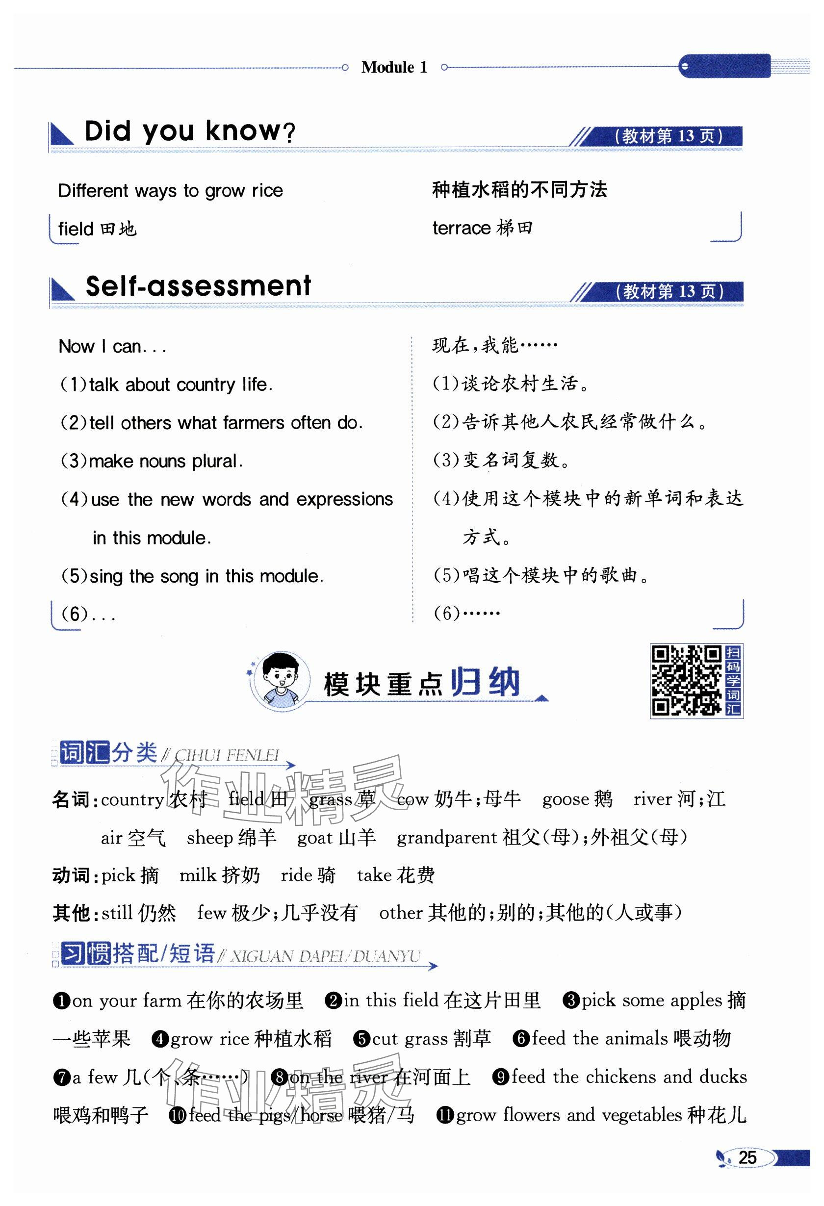 2024年教材課本六年級(jí)英語(yǔ)上冊(cè)教科版 參考答案第25頁(yè)