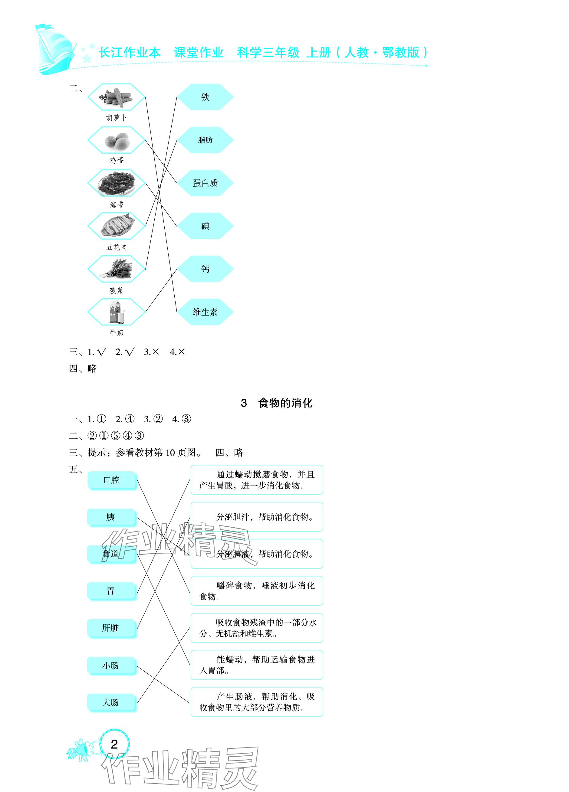 2023年長(zhǎng)江作業(yè)本課堂作業(yè)三年級(jí)科學(xué)上冊(cè)鄂教版 參考答案第2頁(yè)