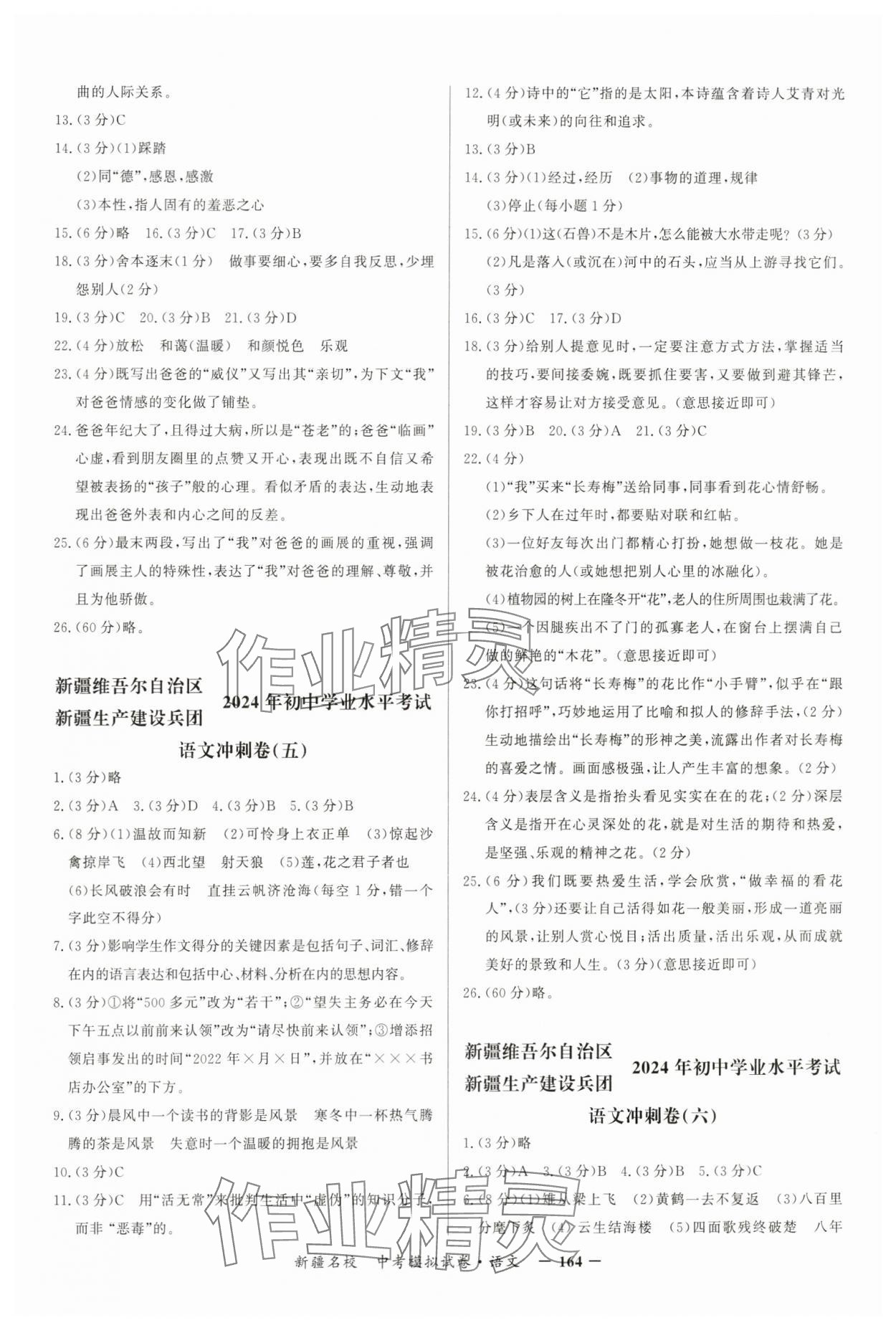 2024年新疆名校中考模擬試卷語文 第4頁