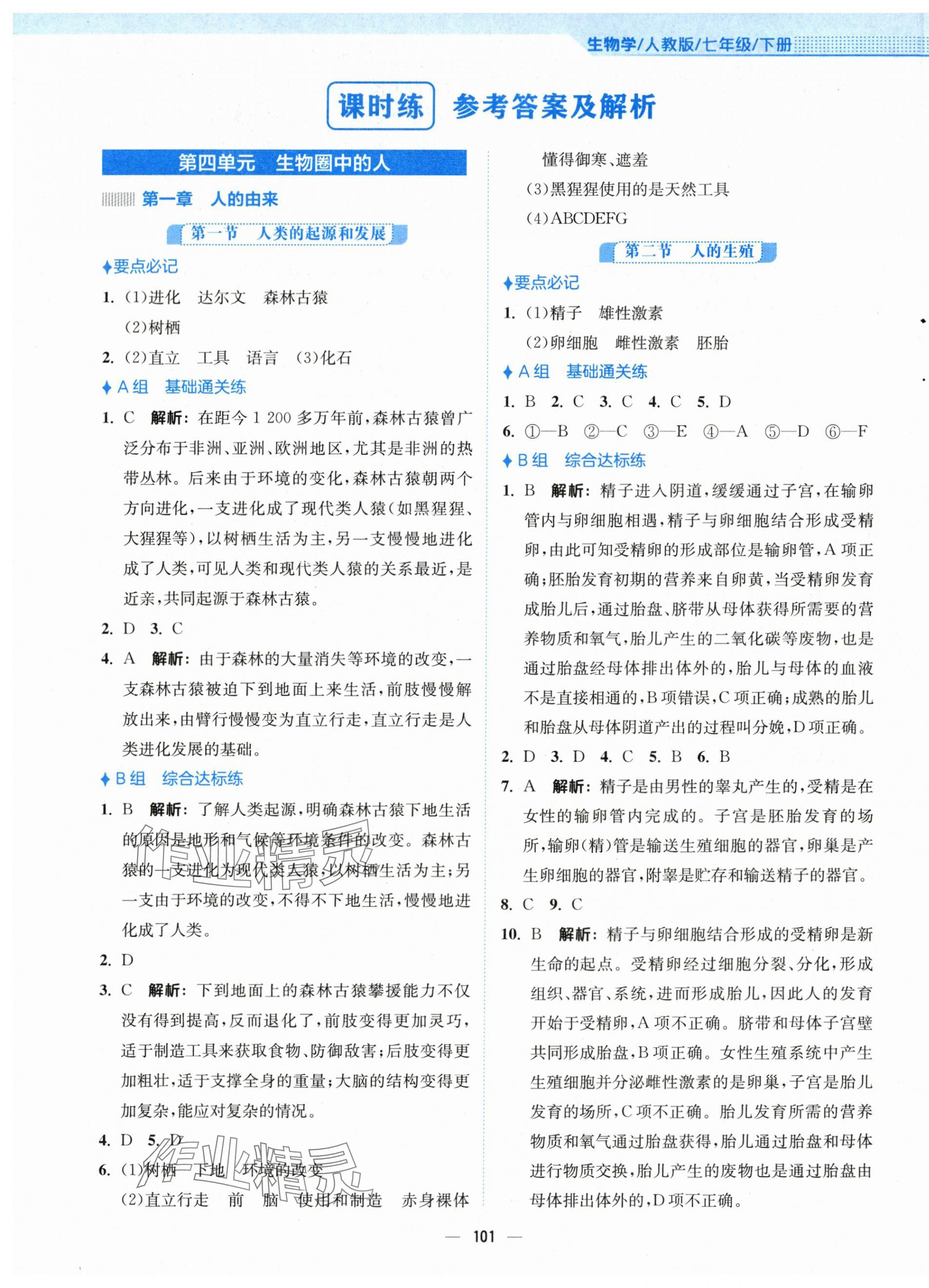 2024年新編基礎(chǔ)訓(xùn)練七年級(jí)生物下冊(cè)人教版 第1頁