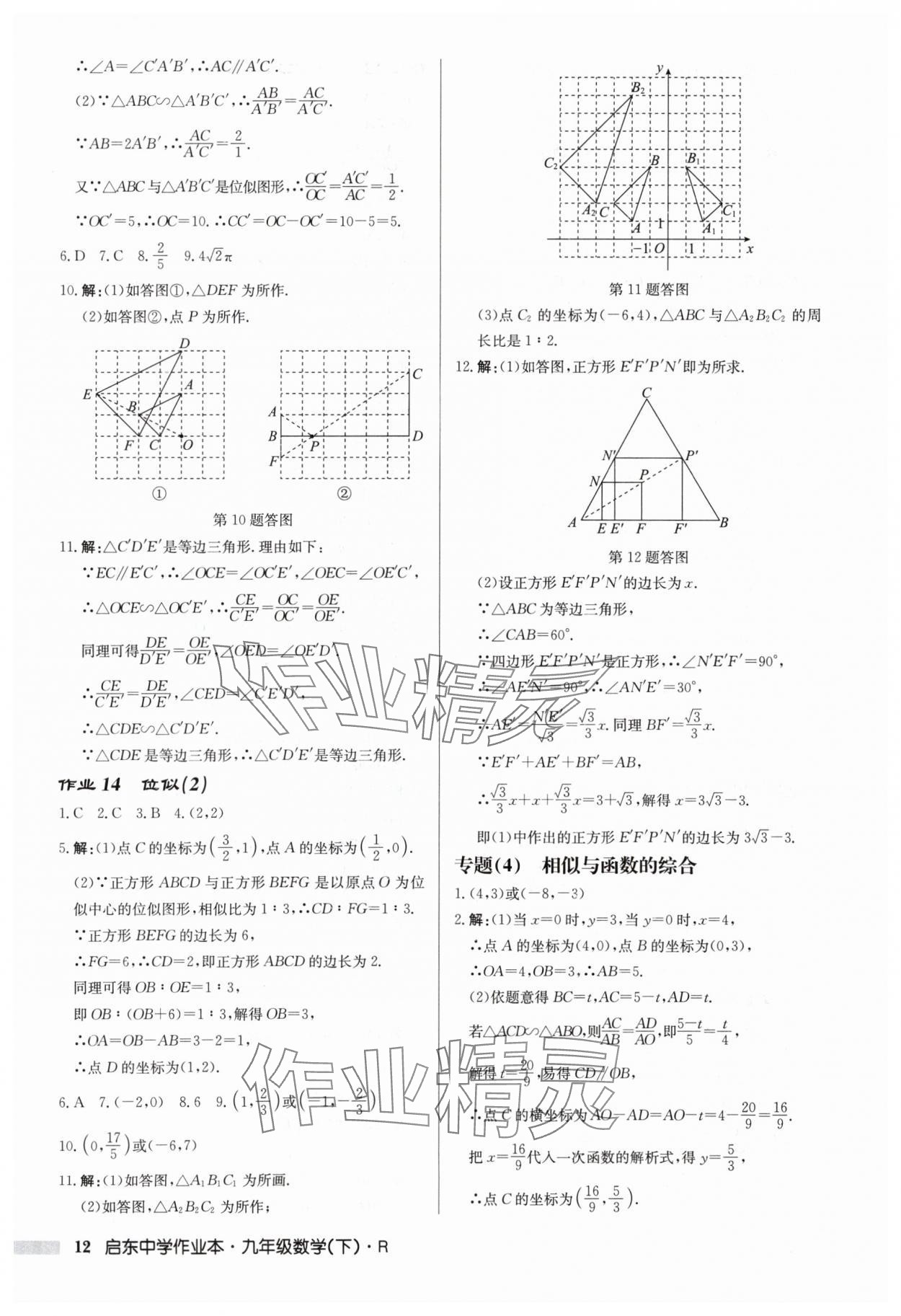 2024年啟東中學(xué)作業(yè)本九年級數(shù)學(xué)下冊人教版 第12頁