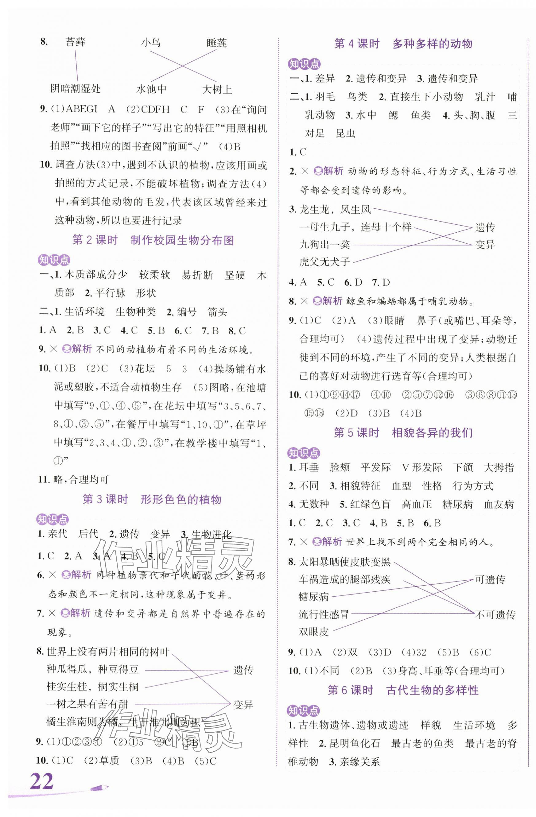 2024年奔跑吧少年六年级科学下册教科版 第3页