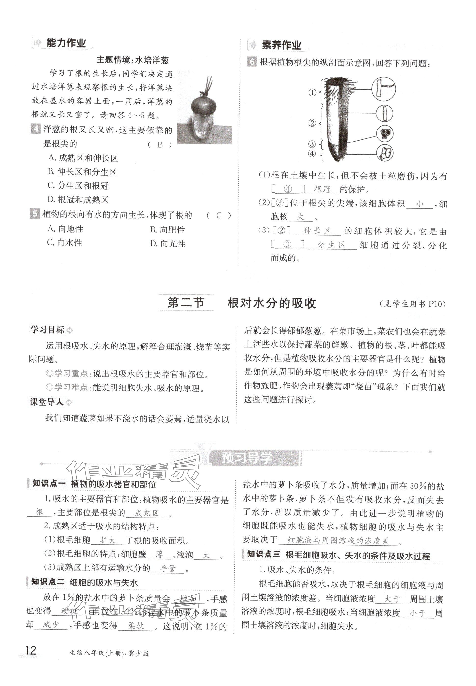 2024年金太阳导学案八年级生物上册冀少版 参考答案第12页