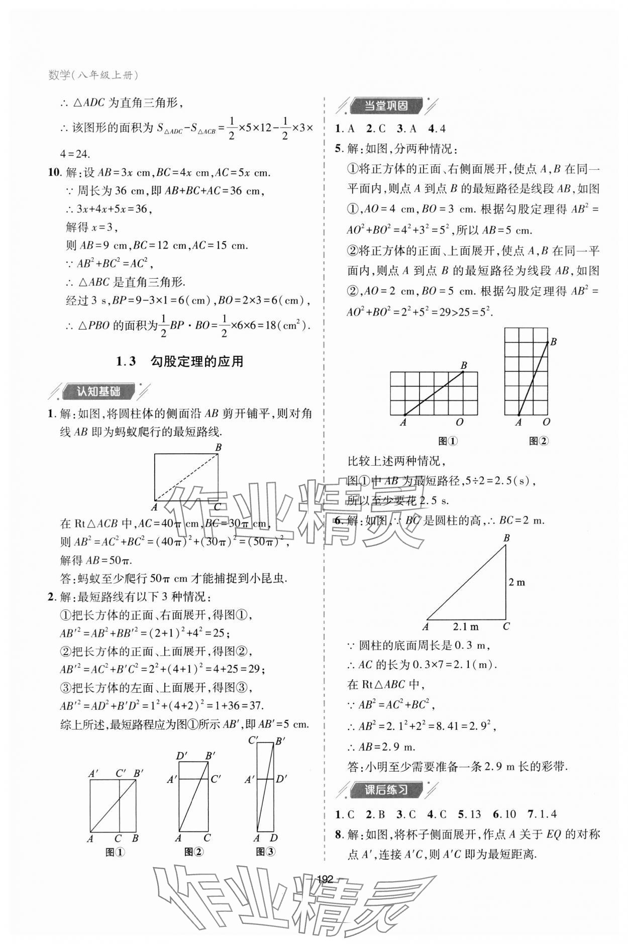 2023年新课堂学习与探究八年级数学上册北师大版 参考答案第4页