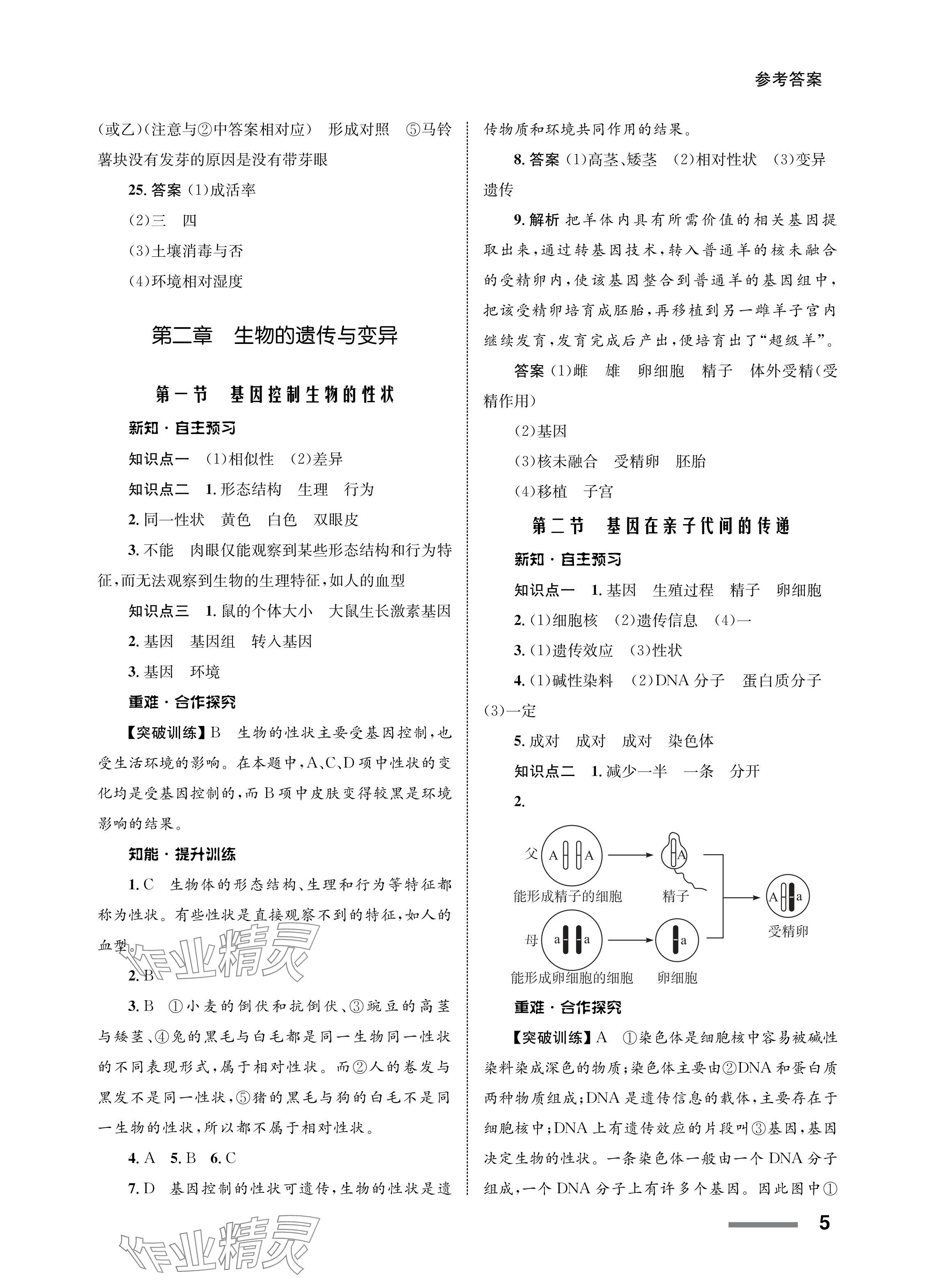 2024年配套綜合練習(xí)甘肅八年級生物下冊人教版 參考答案第5頁