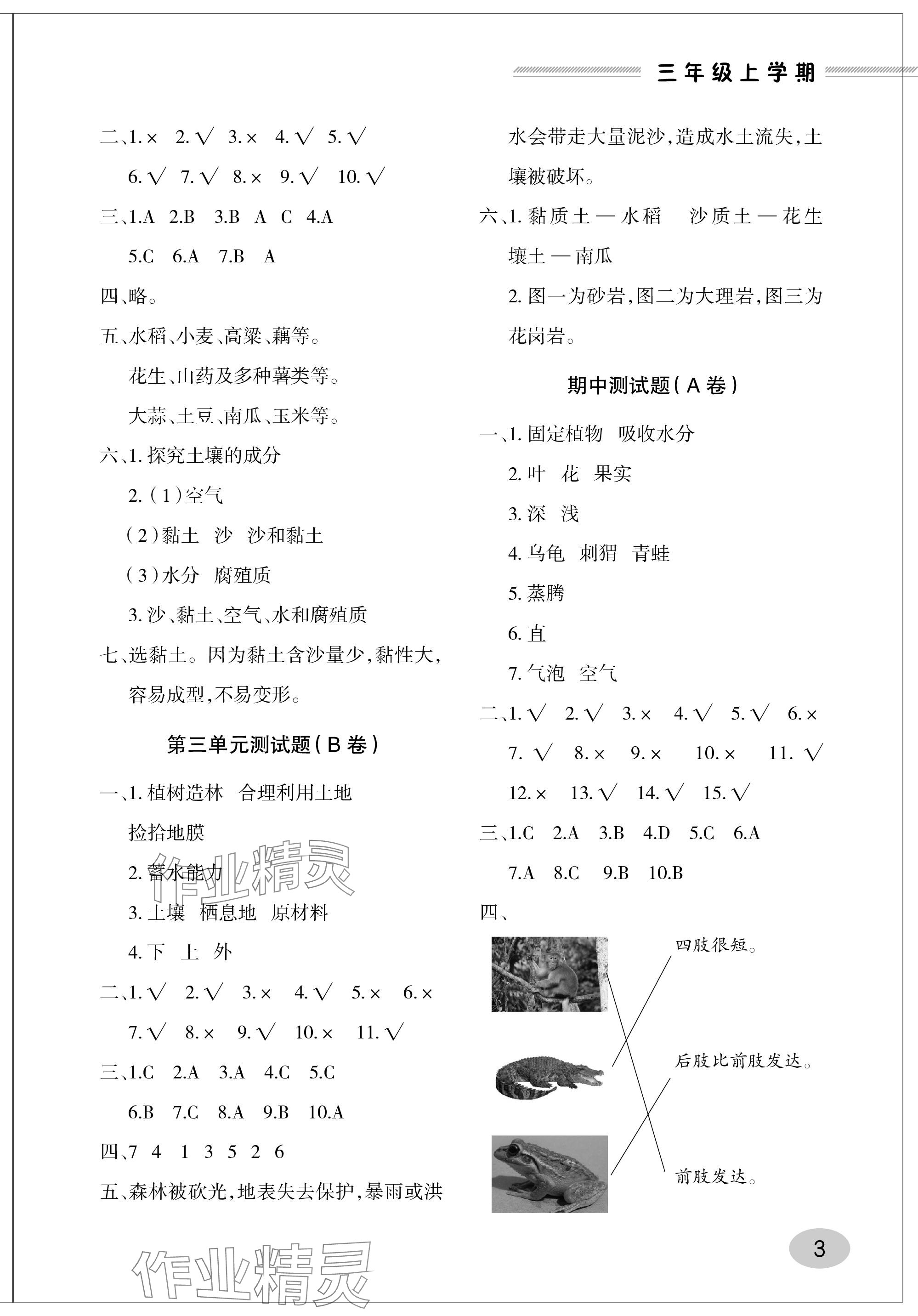 2023年单元自测试卷青岛出版社三年级科学上册青岛版 参考答案第3页