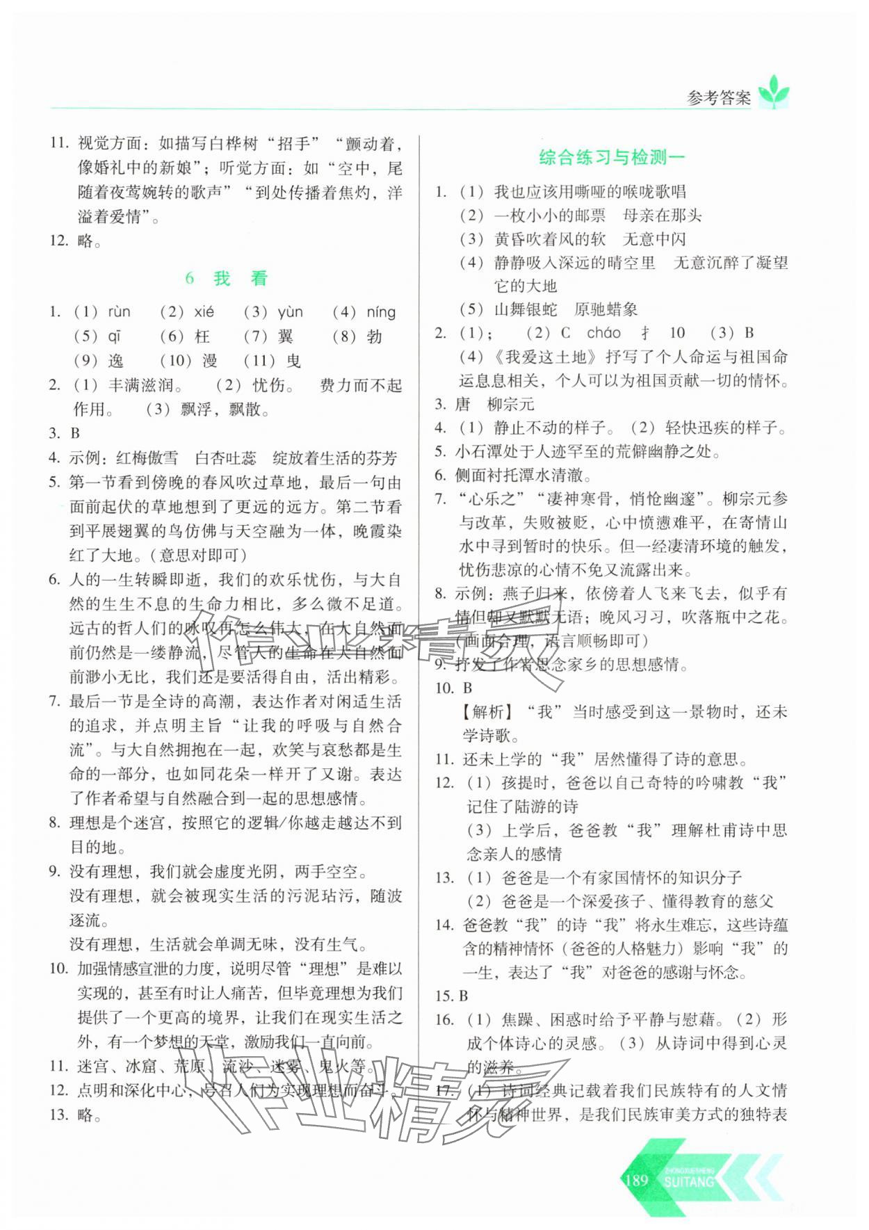 2024年随堂同步练习九年级语文上册人教版 参考答案第4页