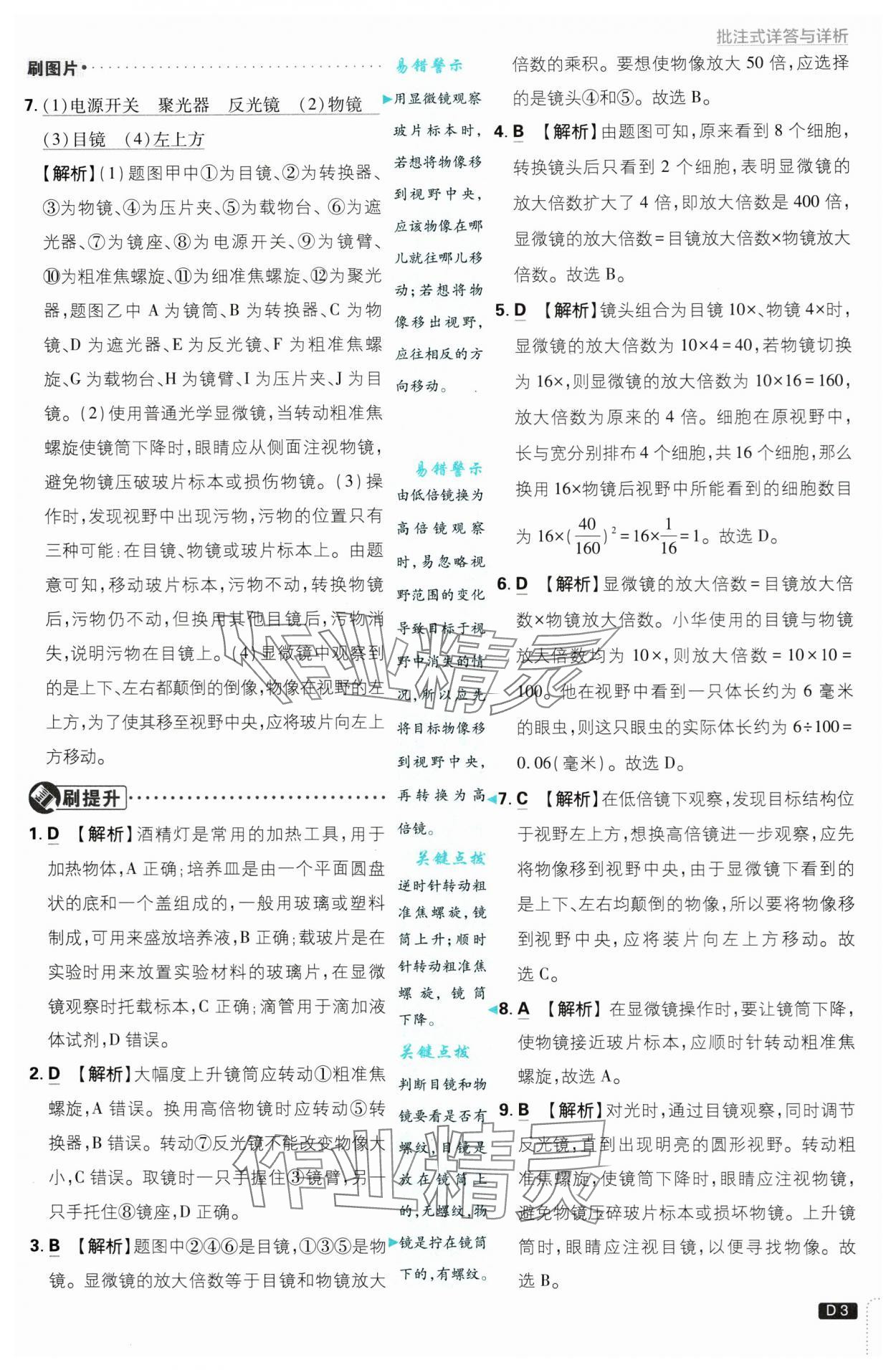 2024年初中必刷題七年級(jí)生物上冊(cè)蘇教版 第3頁(yè)