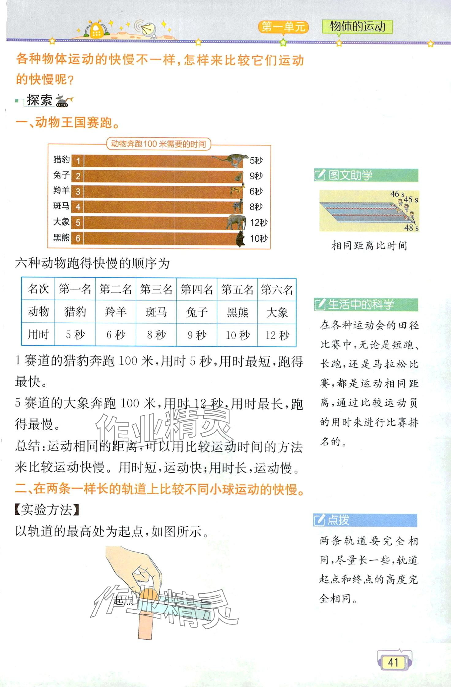 2024年教材課本三年級科學下冊教科版 第41頁