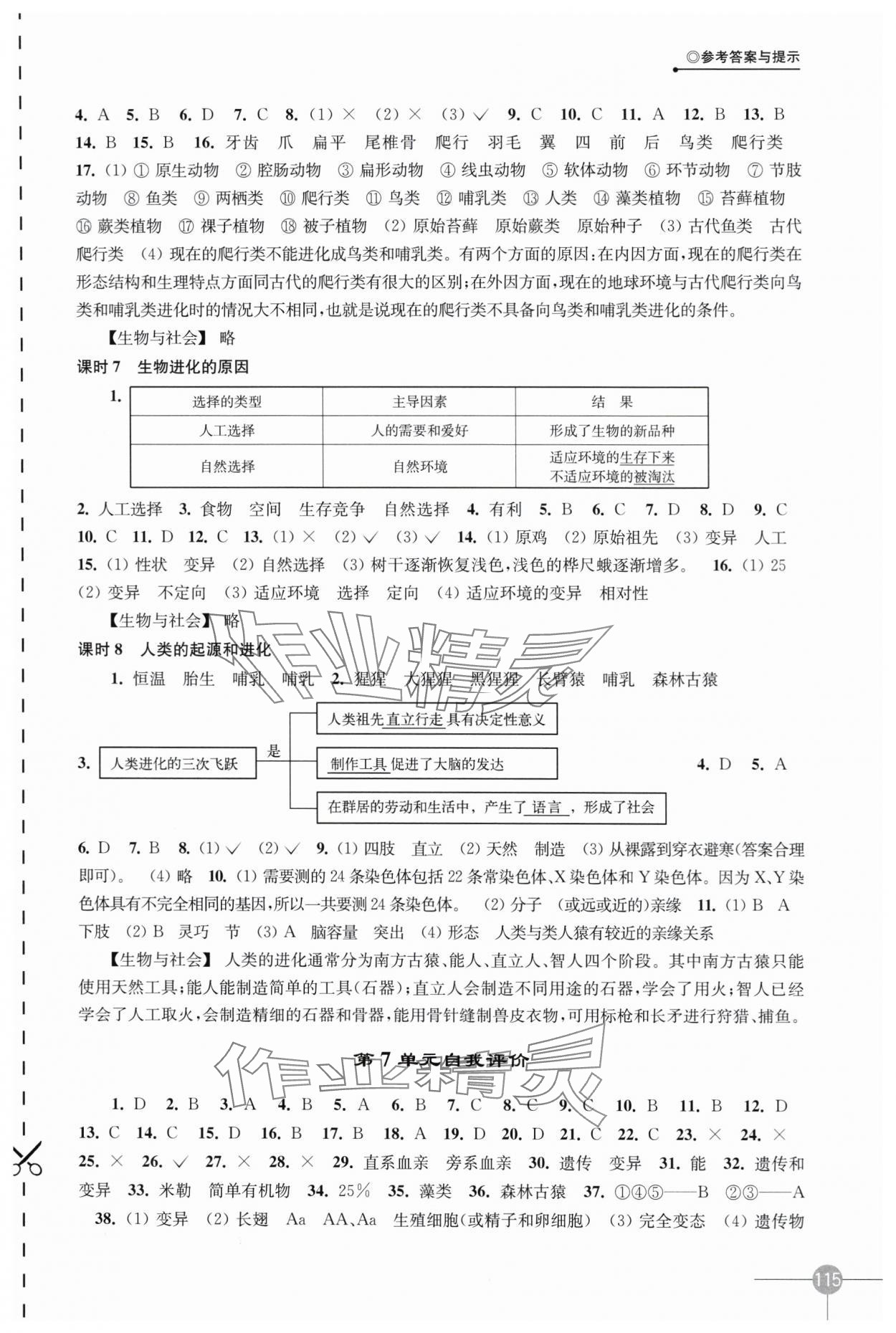 2024年課課練八年級(jí)生物下冊(cè)蘇科版 第3頁