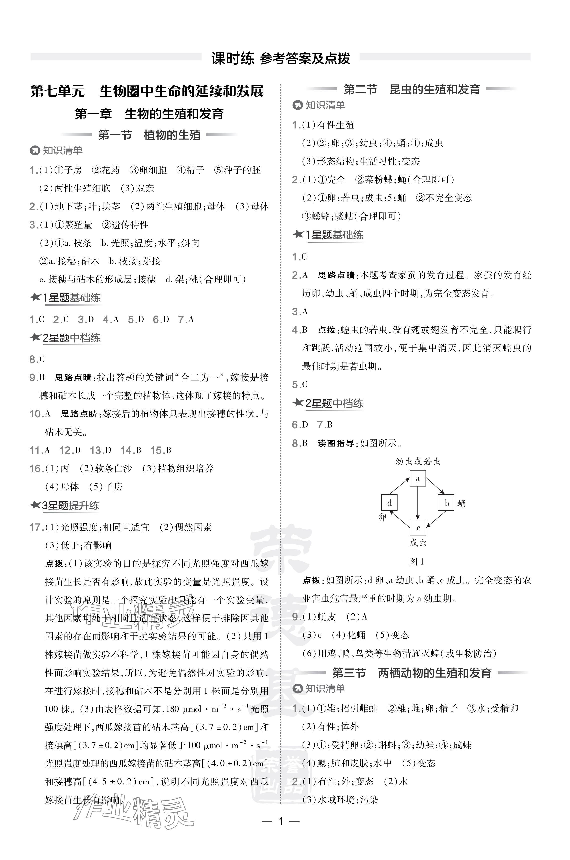 2024年點(diǎn)撥訓(xùn)練八年級(jí)生物下冊(cè)人教版 參考答案第1頁(yè)