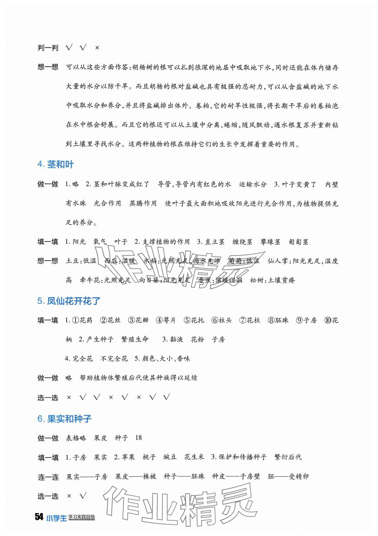 2024年學習實踐園地四年級科學下冊教科版 第2頁