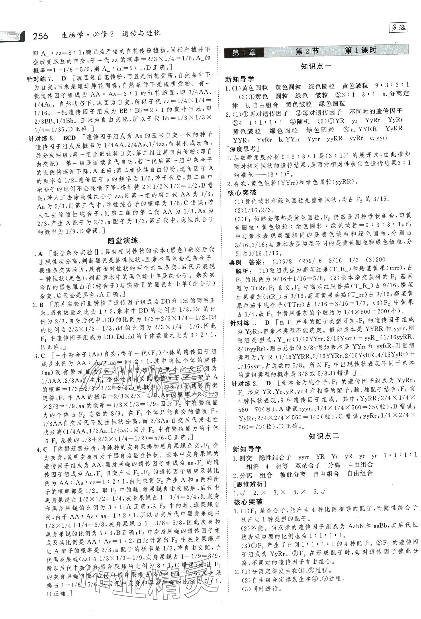 2024年金版新学案高中生物必修2人教版 第3页