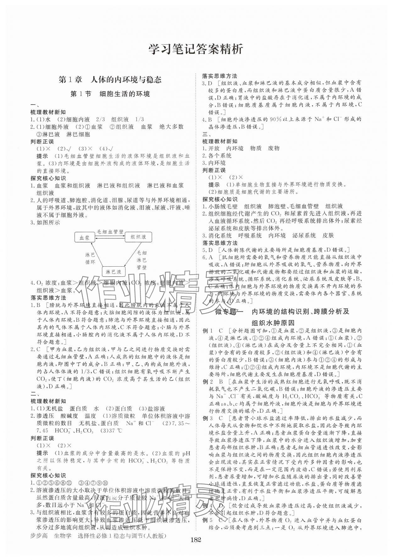 2024年步步高學(xué)習(xí)筆記高中生物選擇性必修1人教版 參考答案第1頁