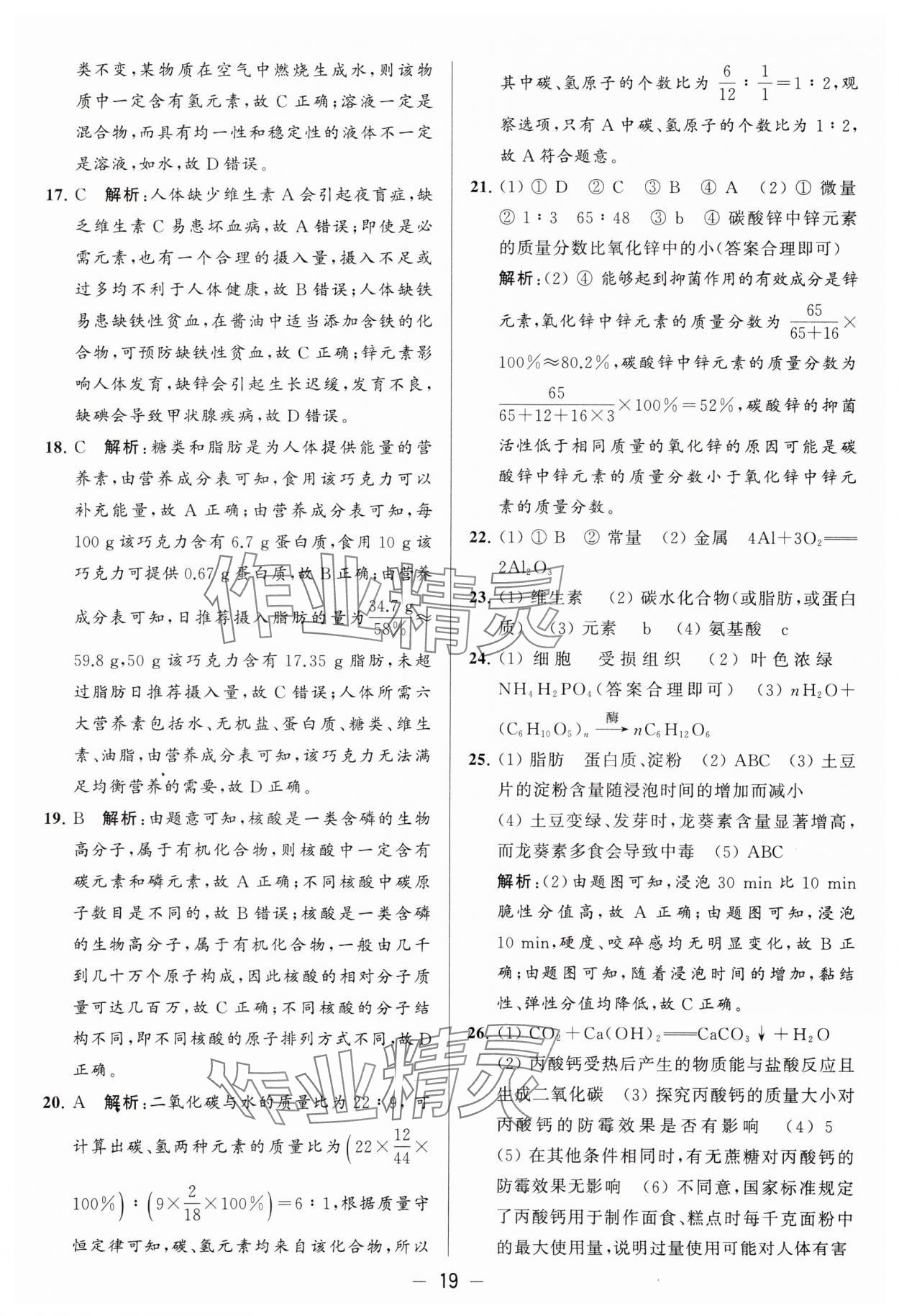 2024年亮点给力大试卷九年级化学下册沪教版 参考答案第19页