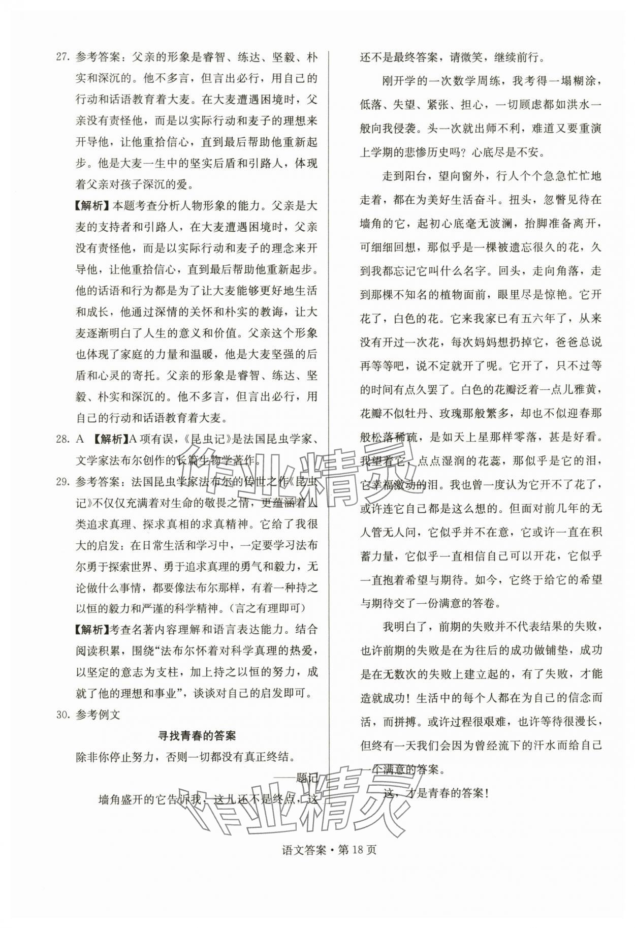 2024年湖南中考必備語(yǔ)文 參考答案第18頁(yè)