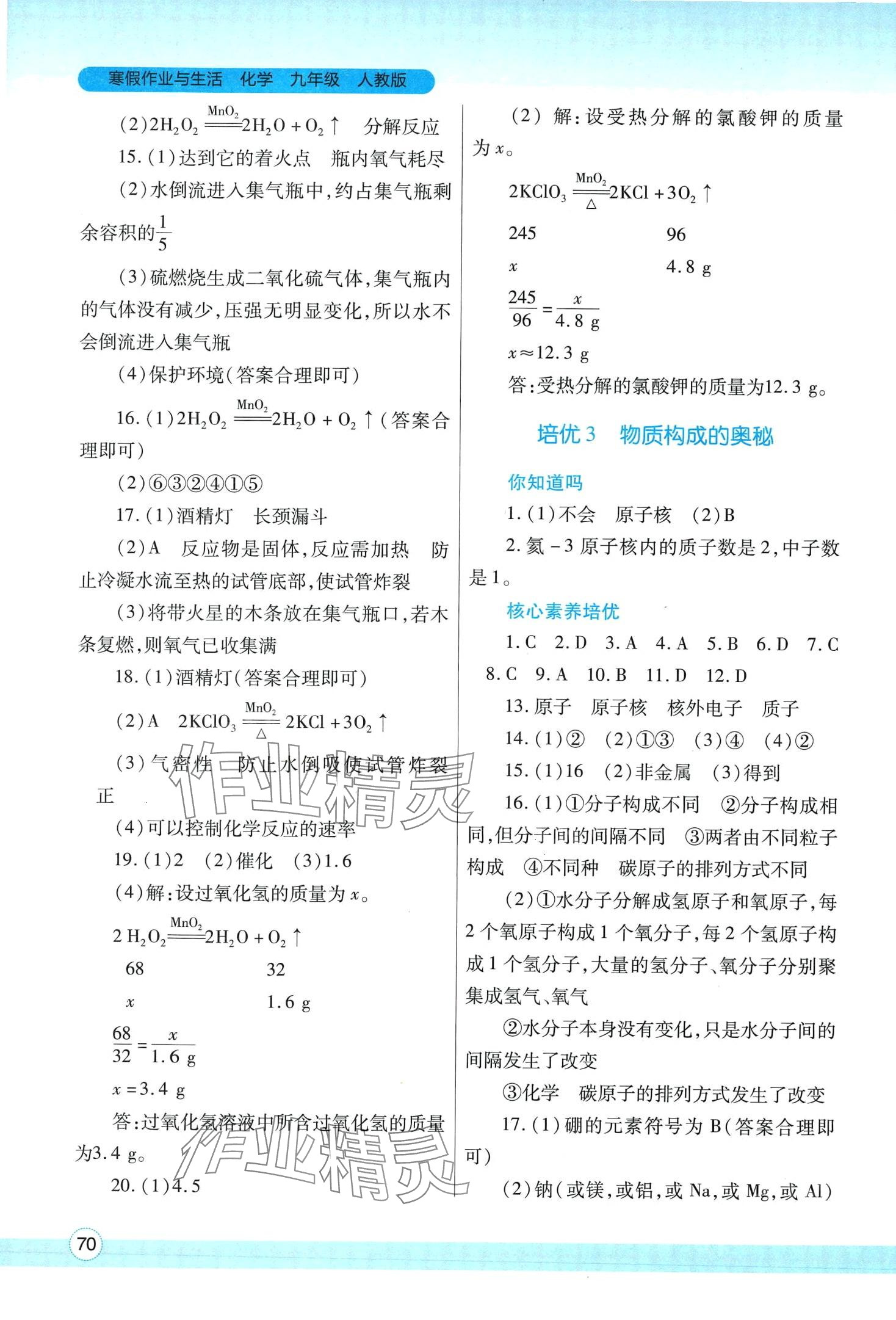 2024年寒假作業(yè)與生活陜西師范大學(xué)出版總社九年級化學(xué)人教版 第2頁