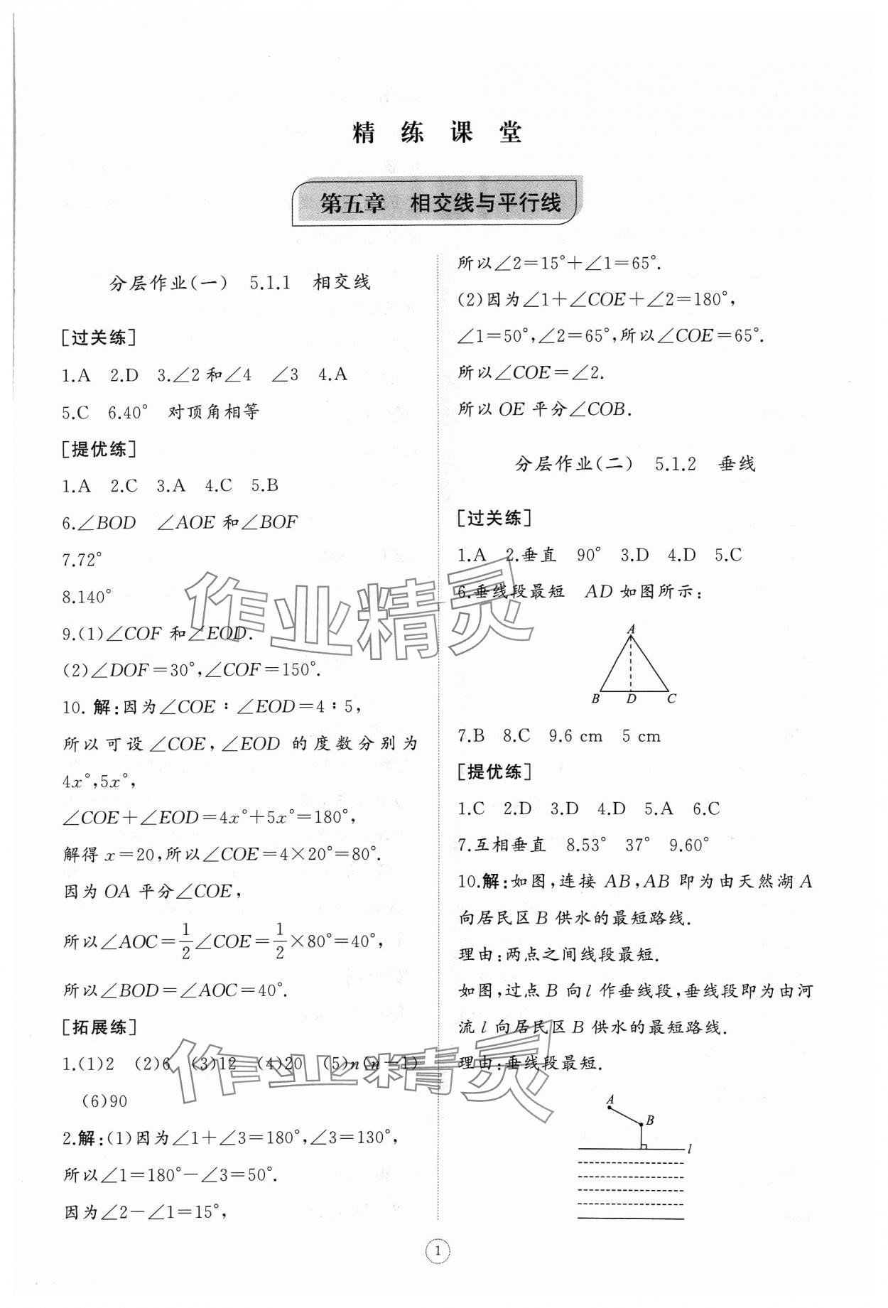 2024年同步练习册智慧作业七年级数学下册人教版 参考答案第1页