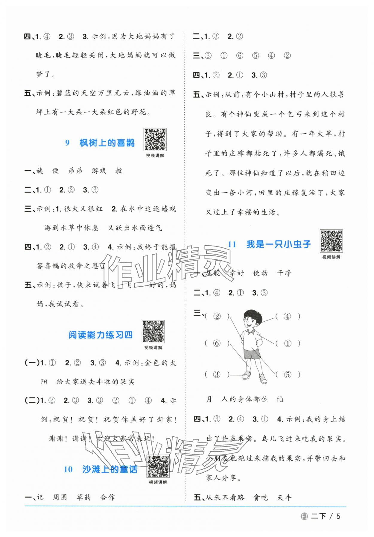 2024年阳光同学课时优化作业二年级语文下册人教版福建专版 参考答案第5页